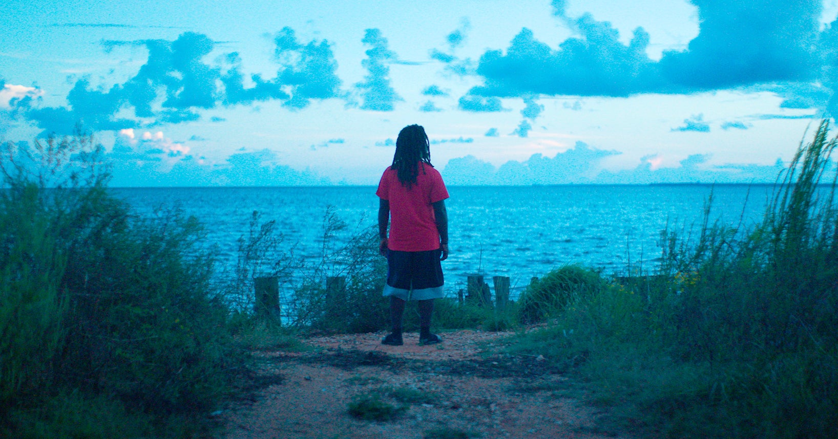 Film Review - Descendant