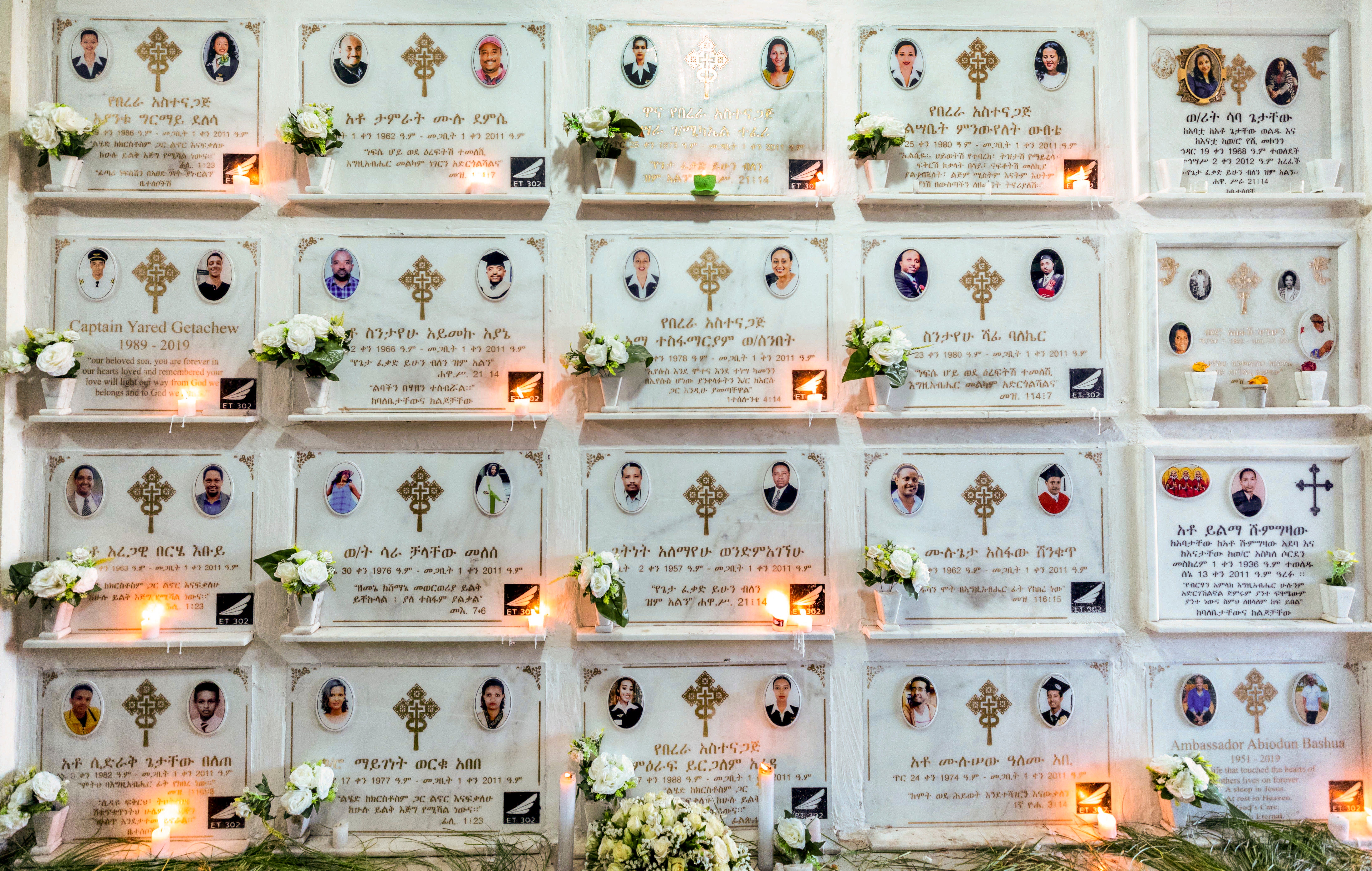 Boeing 737 Max Families