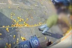 Shocking CCTV footage catches man kicking cat into wall in Newport