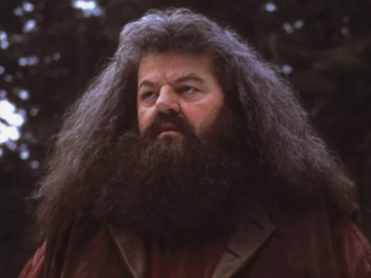 Robbie Coltrane as Hagrid in the ‘Harry Potter’ films