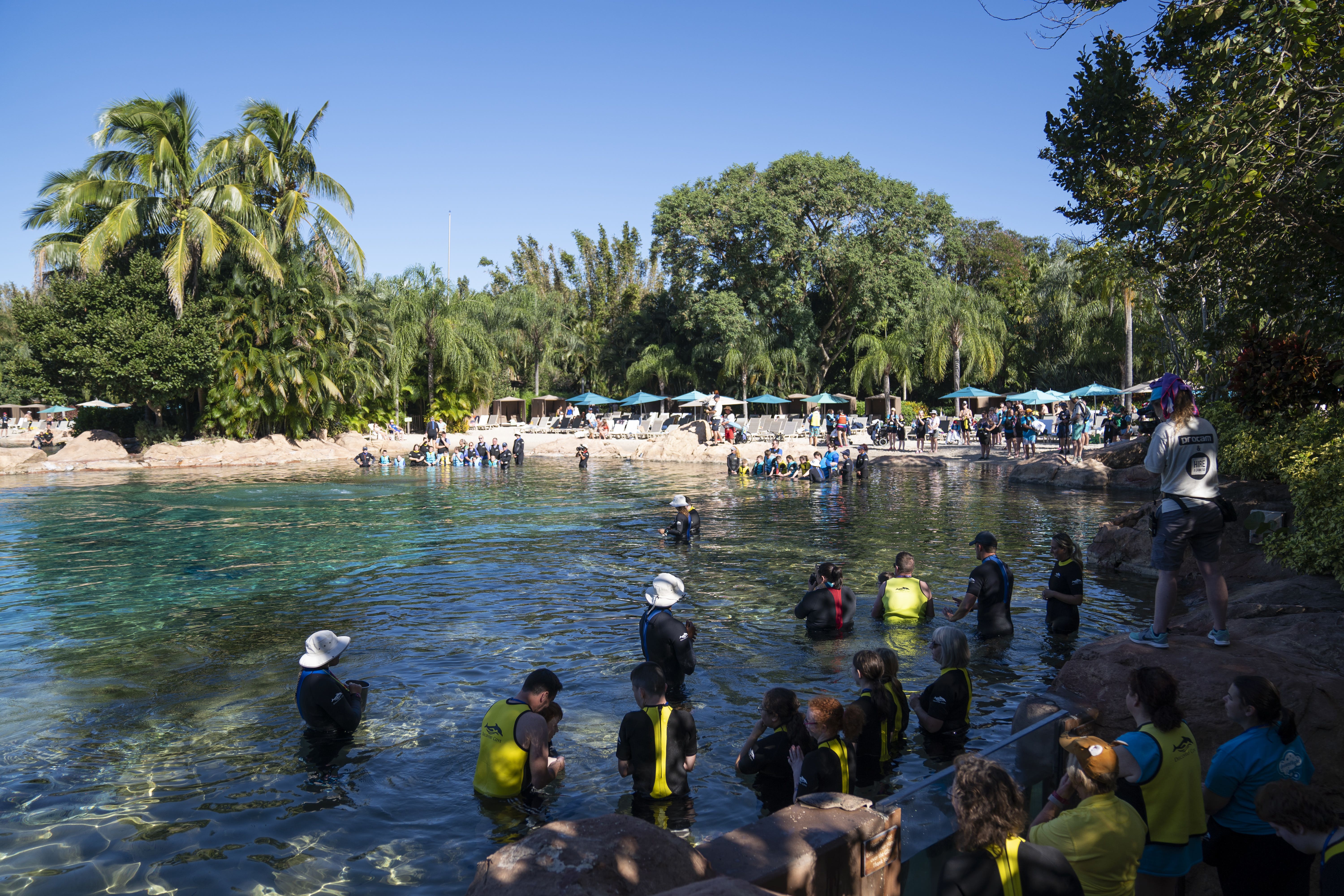 Children swim with dolphins during the Dreamflight visit to Discovery Cove (Kirsty O’Connor/PA)