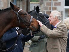 King Charles to sell 14 horses inherited from Queen Elizabeth II