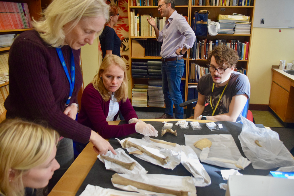 Dr Rhiannon Stevens sampling the Kendrick’s Cave human remains for ancient DNA analysis