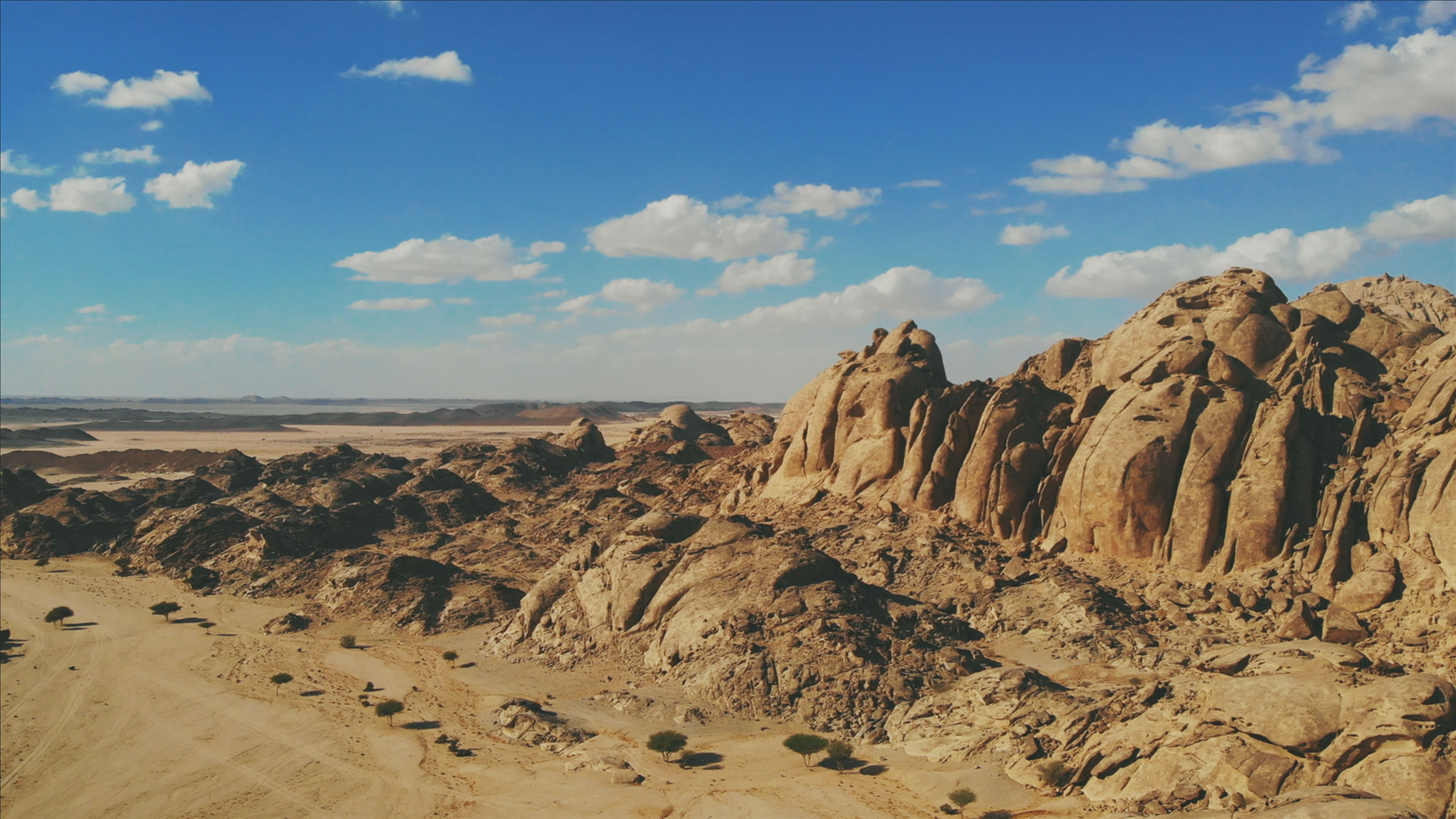 Ninety islands, a mountain range, and 50 dormant volcanic cones make up the diverse terrains of THE RED SEA