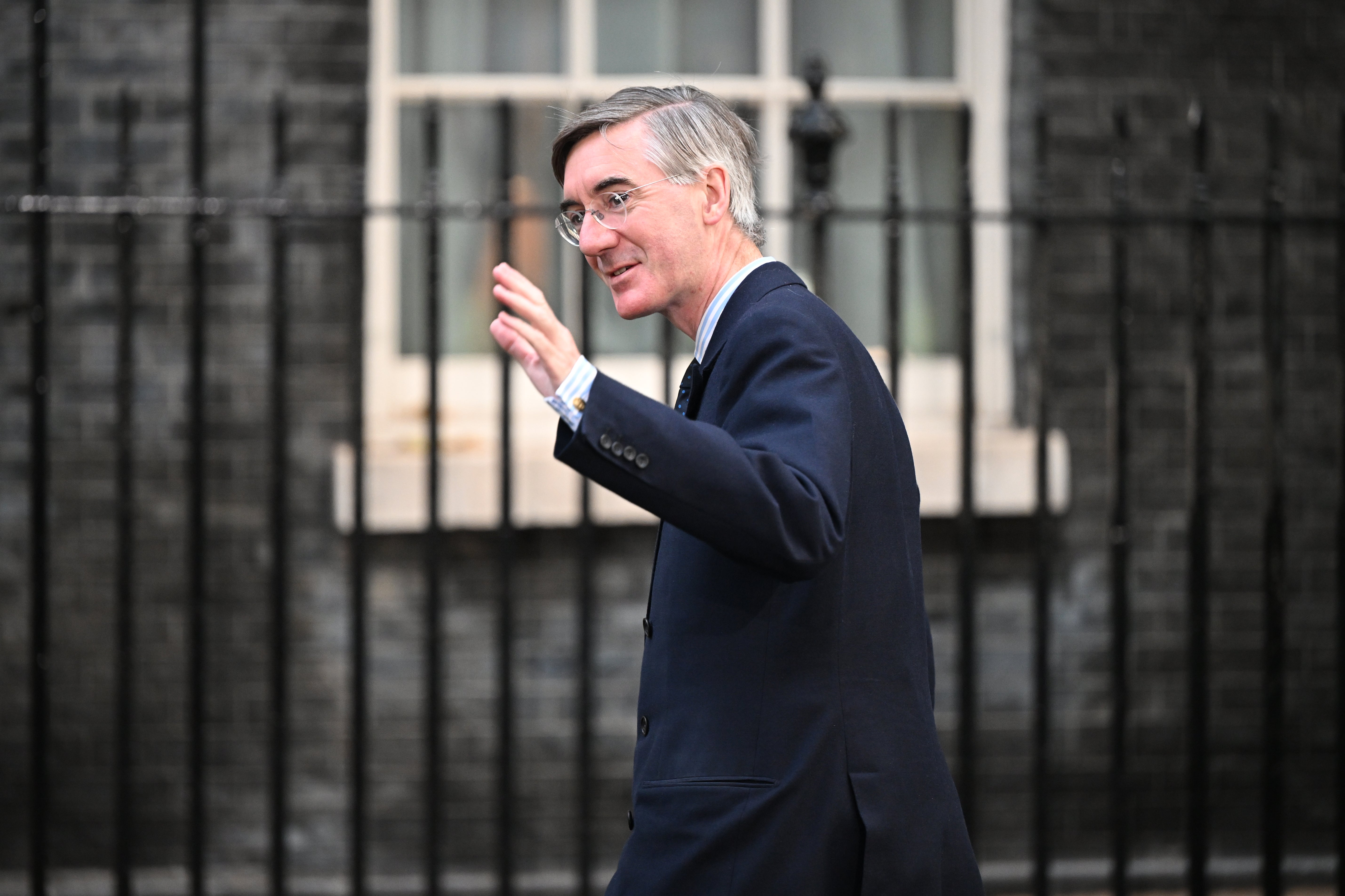 Jacob Rees-Mogg backed Boris Johnson