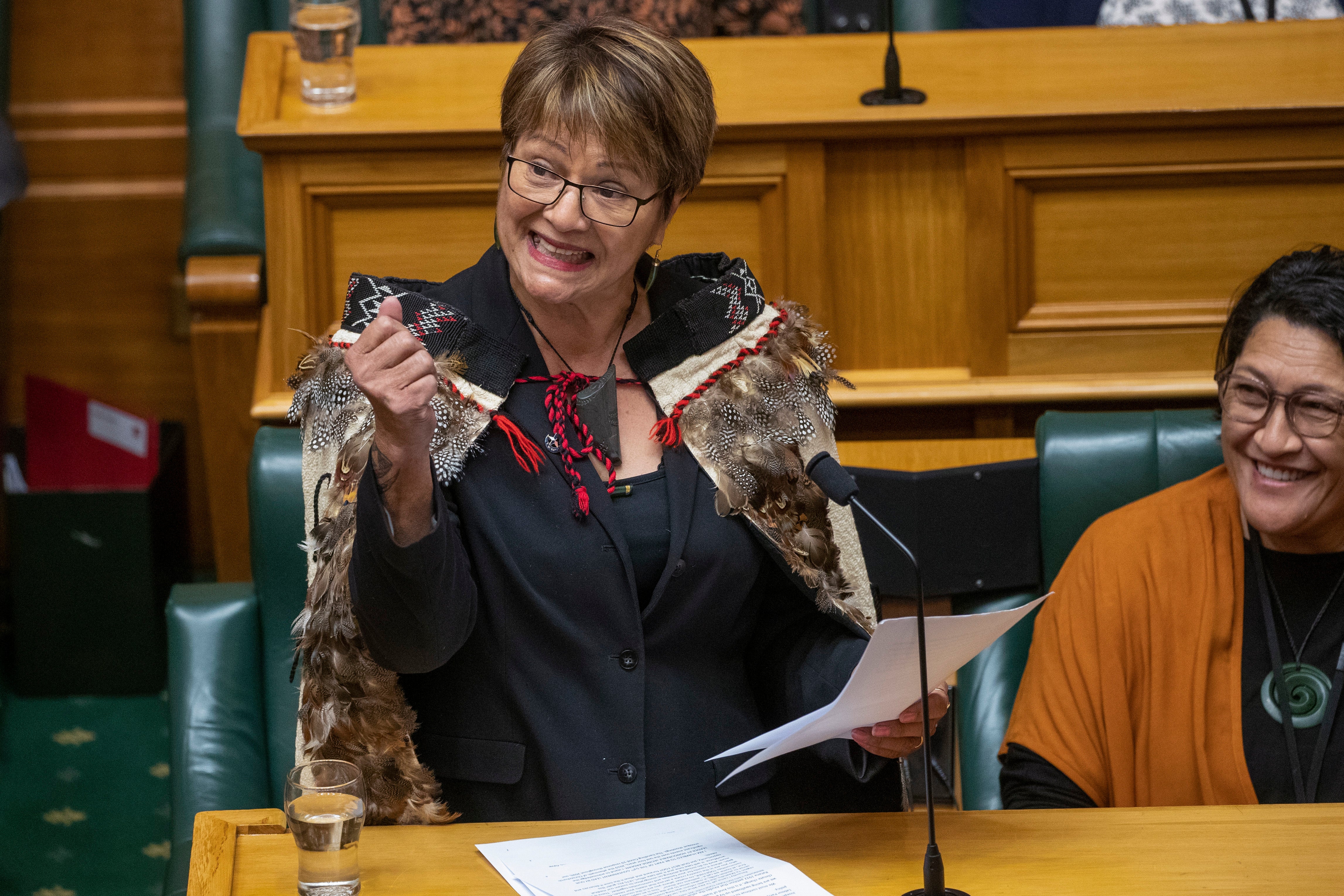 New Zealand Women Lawmakers
