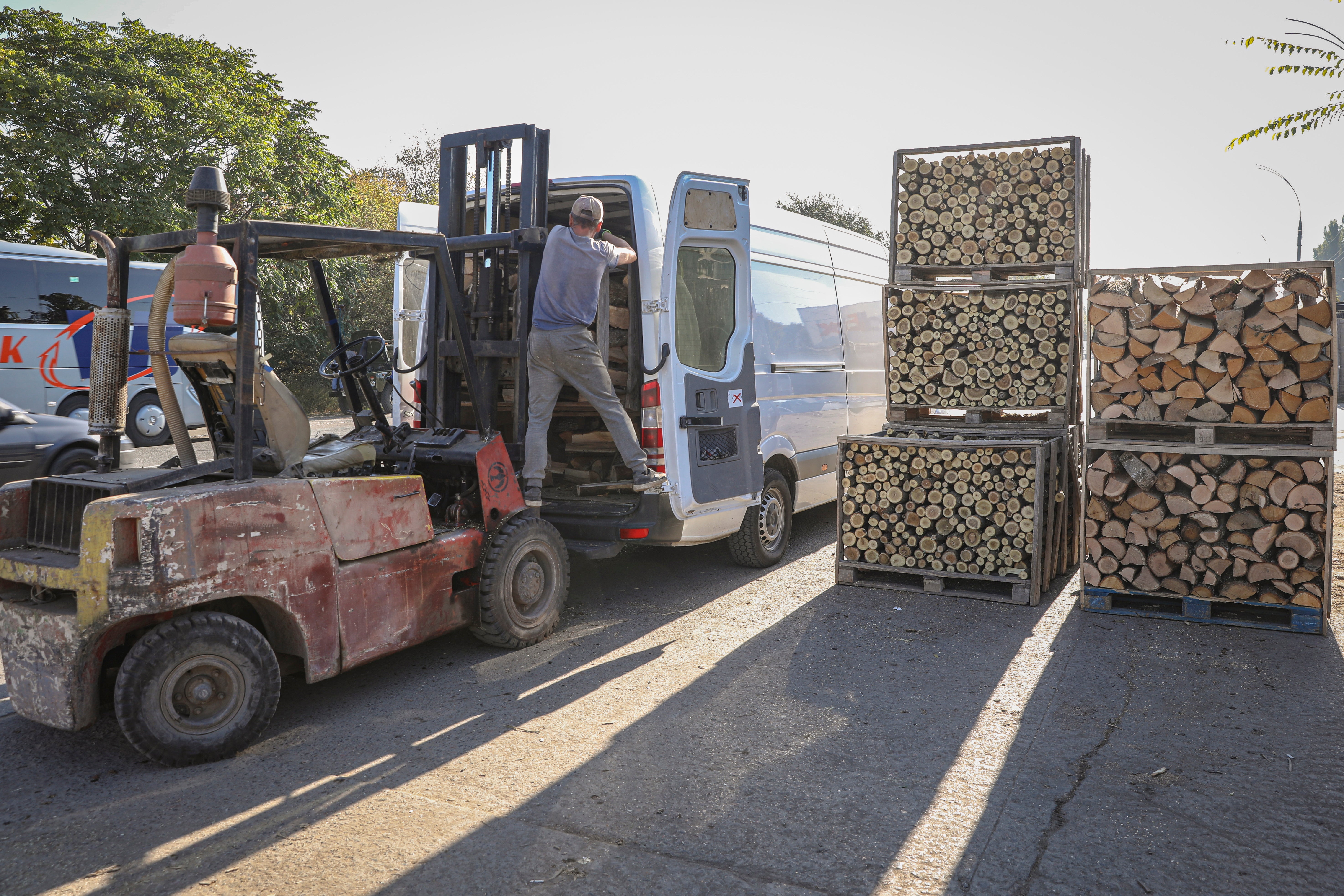 Europe Energy Crisis Firewood