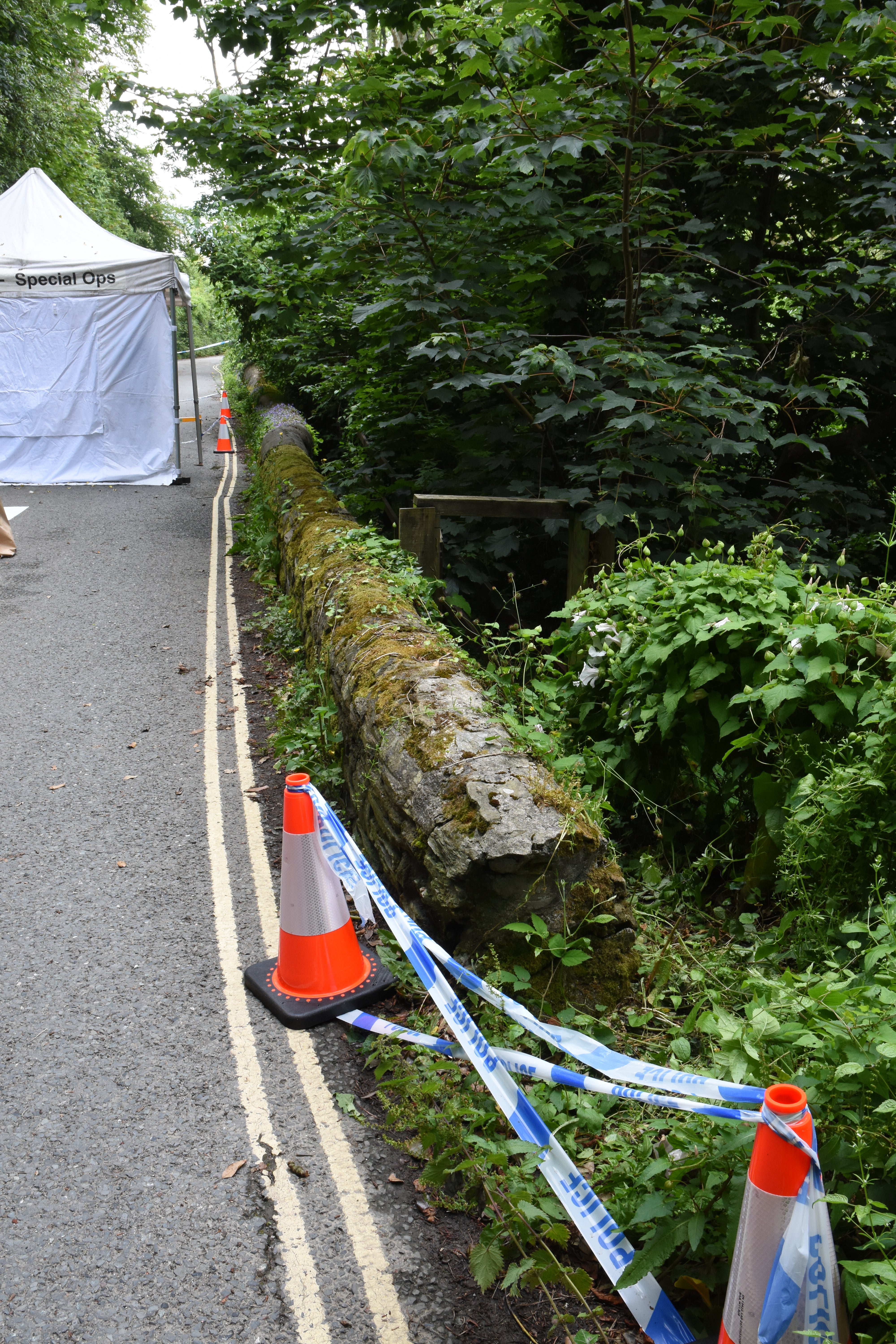 Ms Chong’s body was found by holidaymakers beside a woodland footpath near Salcombe