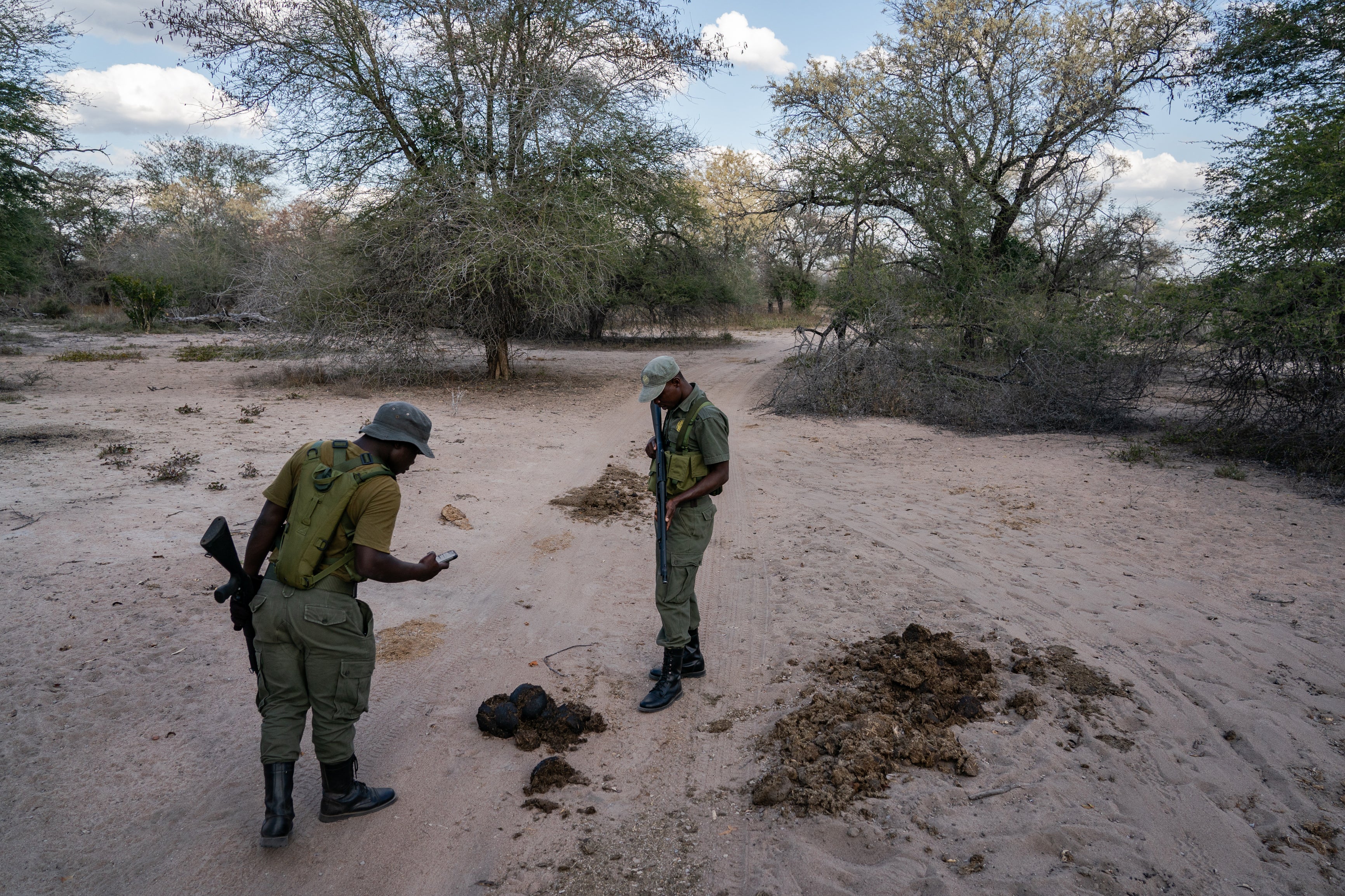 An anti-poaching unit spots fresh white rhino droppings and tracks moving away from them