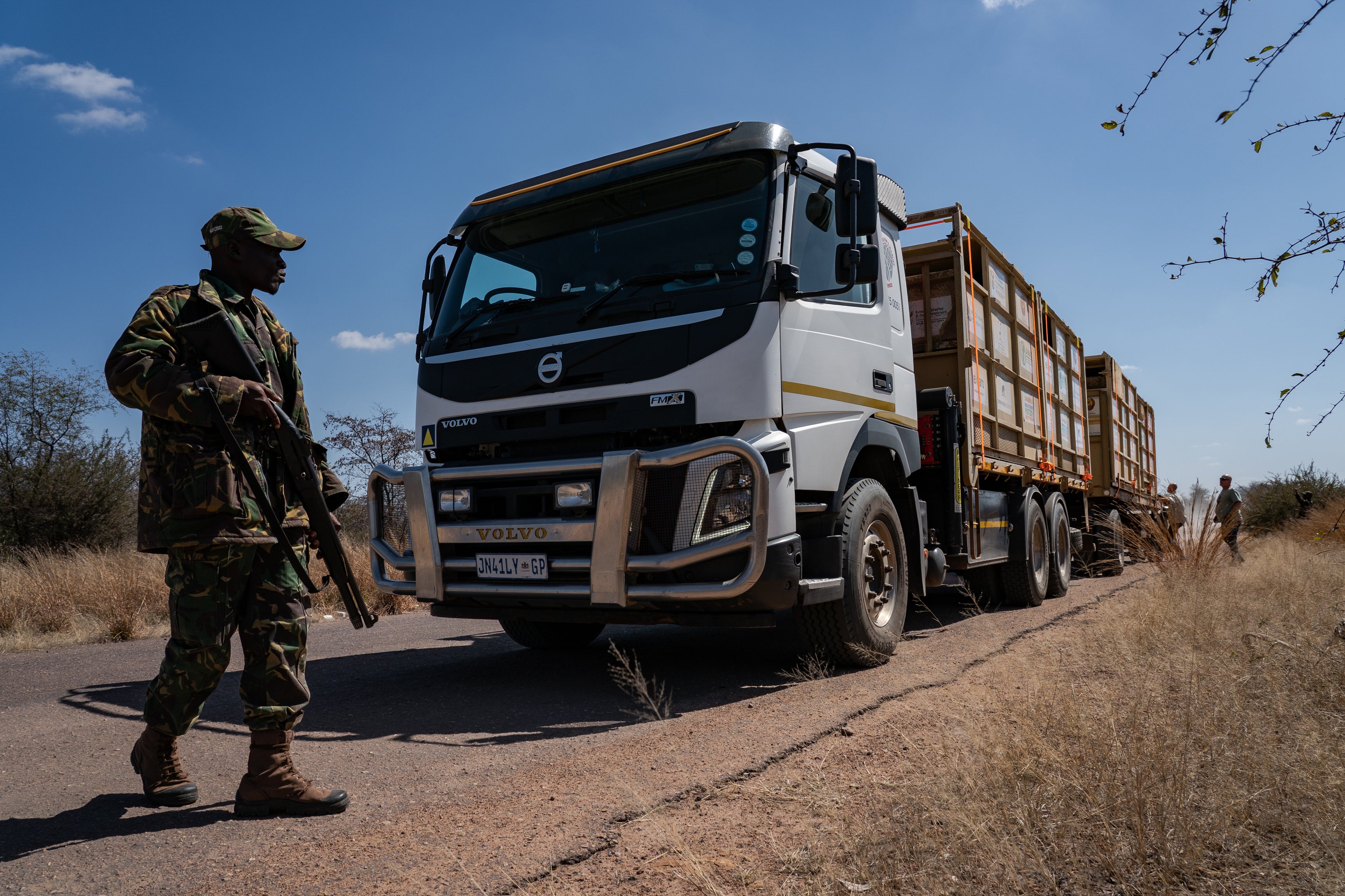 A member of the anti-poaching security unit protects a truck carrying five endangered black rhinos and one white rhino