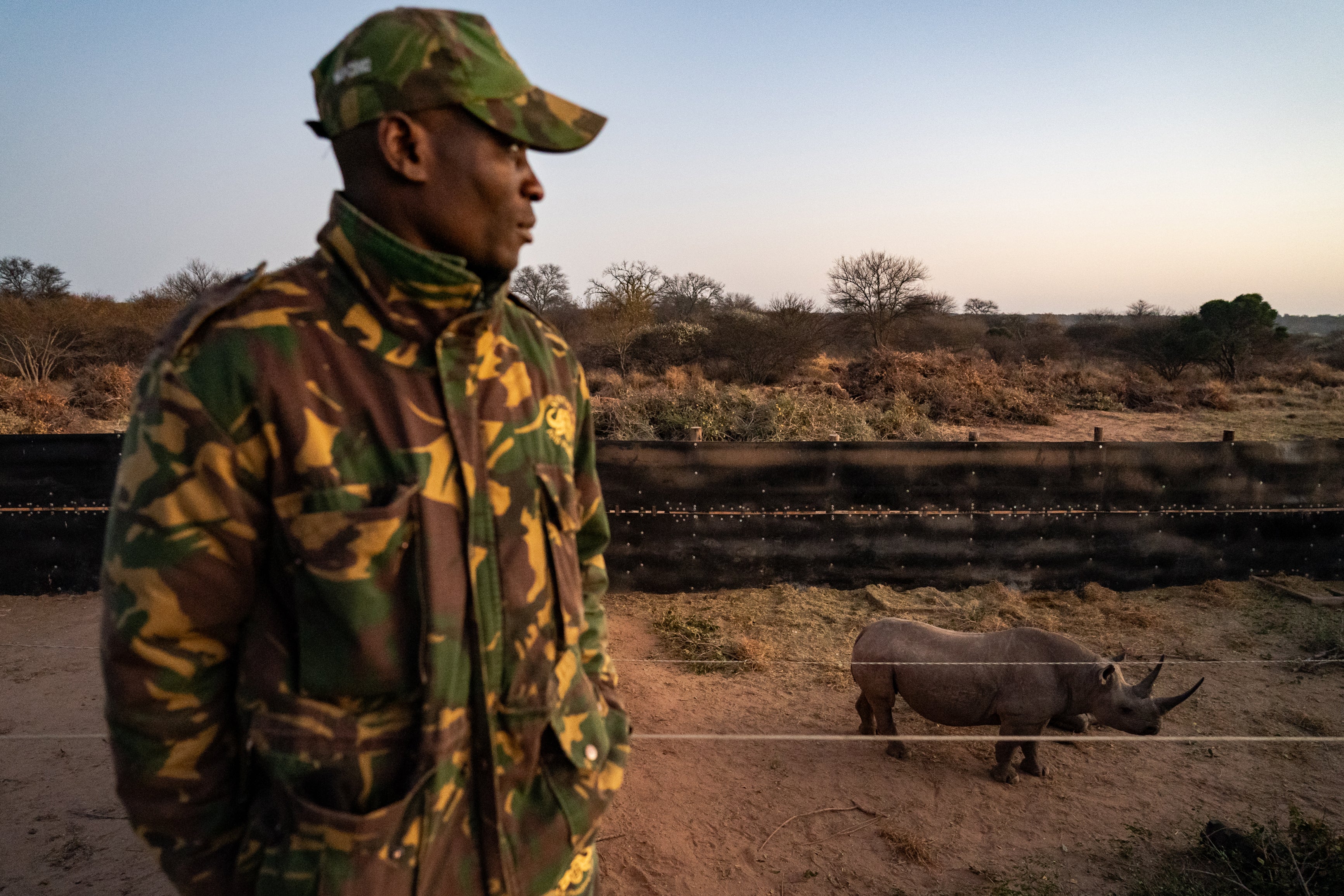 A member of the anti-poaching security unit watches Paulina in her boma