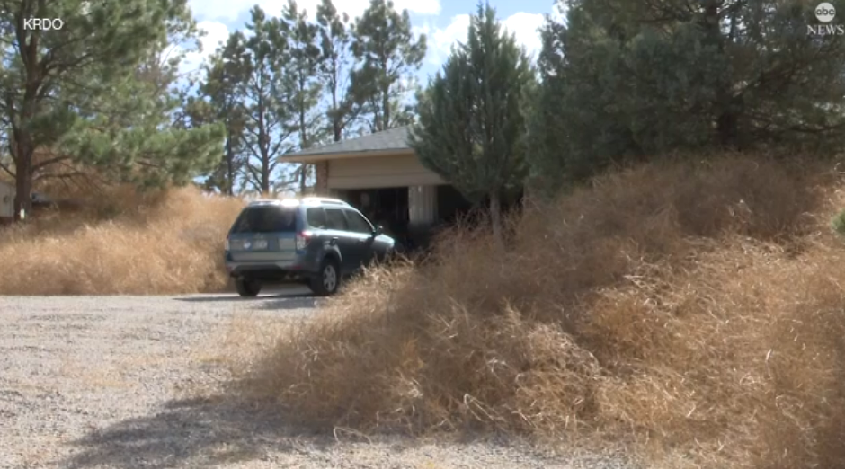 Tumbleweeds at a Colorado Springs property have piled up so high on a couple’s property they’ve had access to their car and front door blocked at times