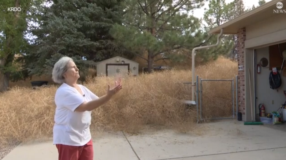 Marlies Gross’ home was overrun with tumbleweeds in Fountain, Colorado over the weekend after strong winds blew through the area