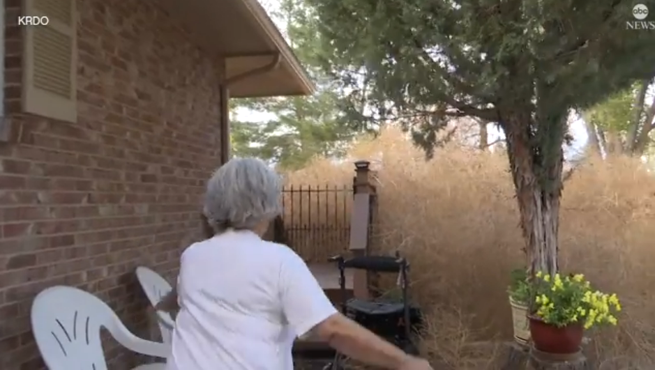 Marlies Gross, a resident of Colorado Springs, says her home’s backyard has become overwhelmed with tumbleweeds since Sunday, following strong winds in the area over the weekend