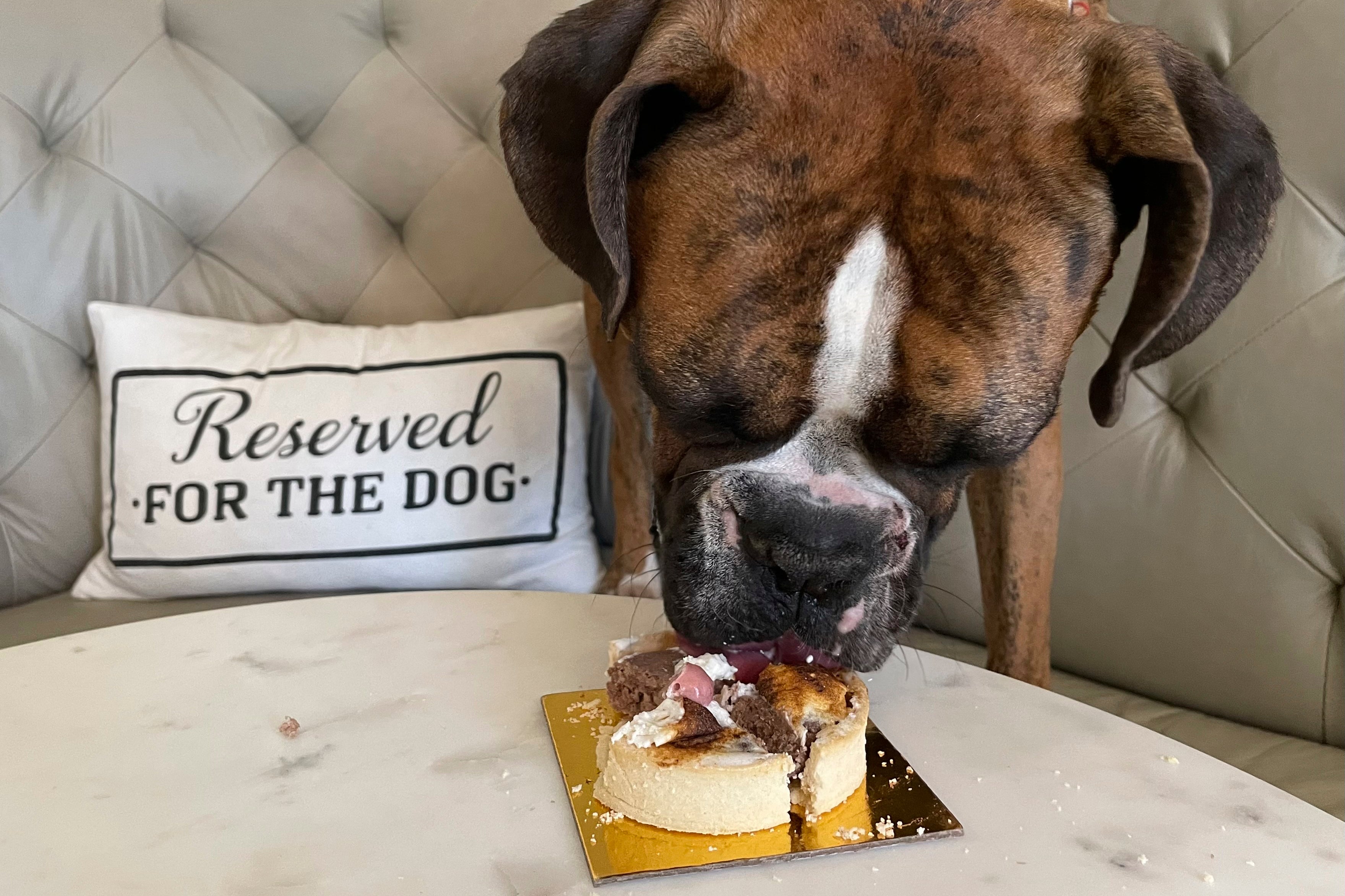 San Francisco Dog Restaurant