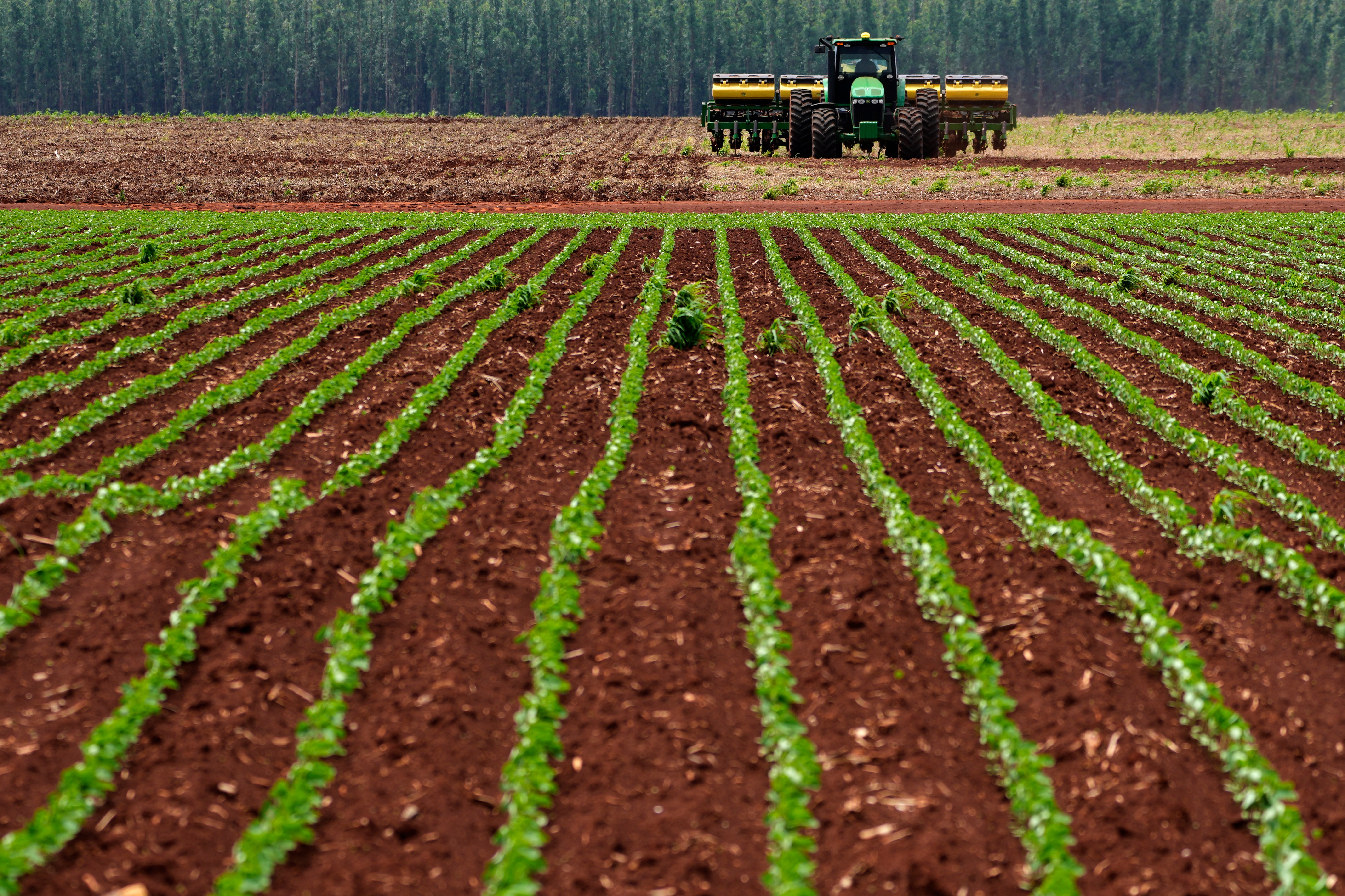 Brazil Elections Agribusiness