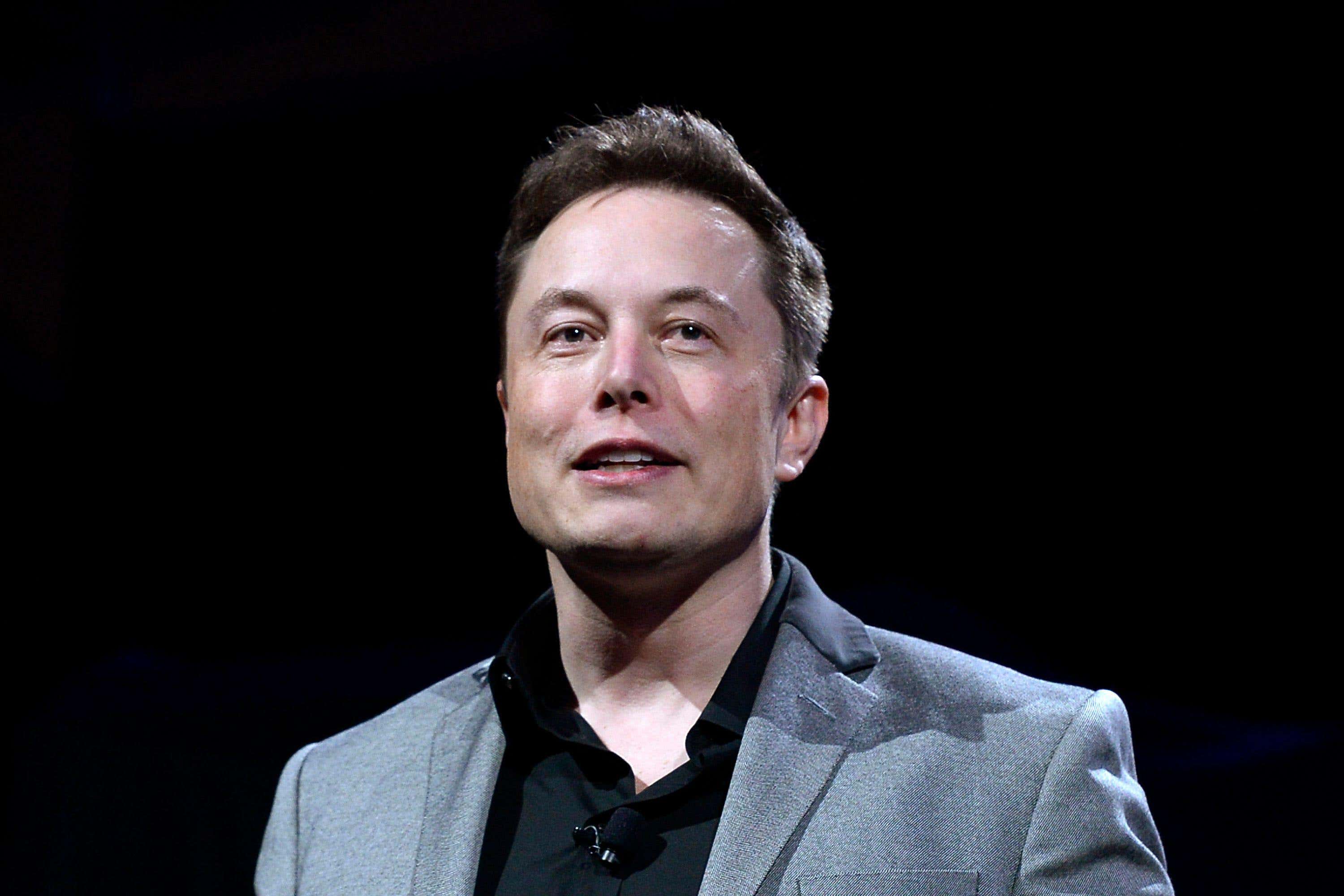 Elon Musk (Alamy/PA)