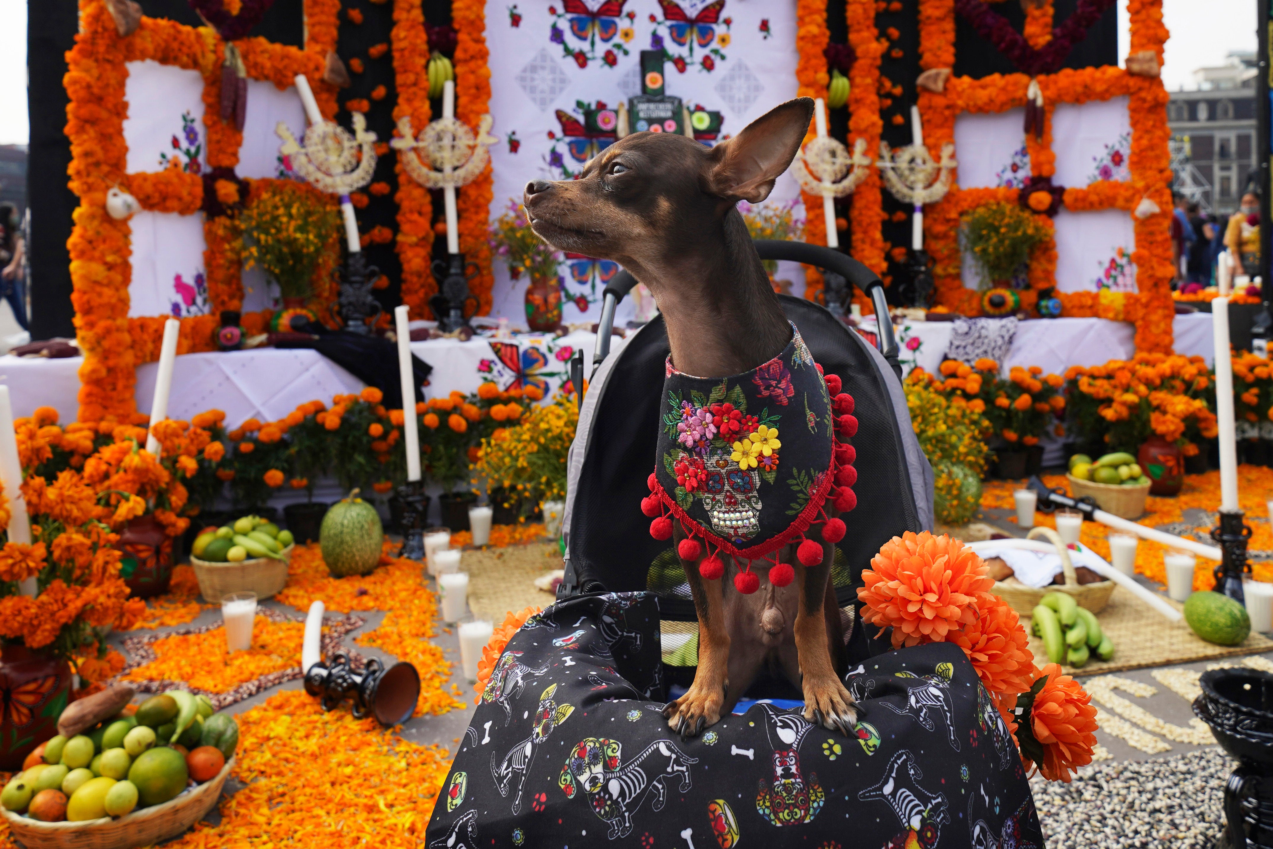 Mexico Day of the Dead