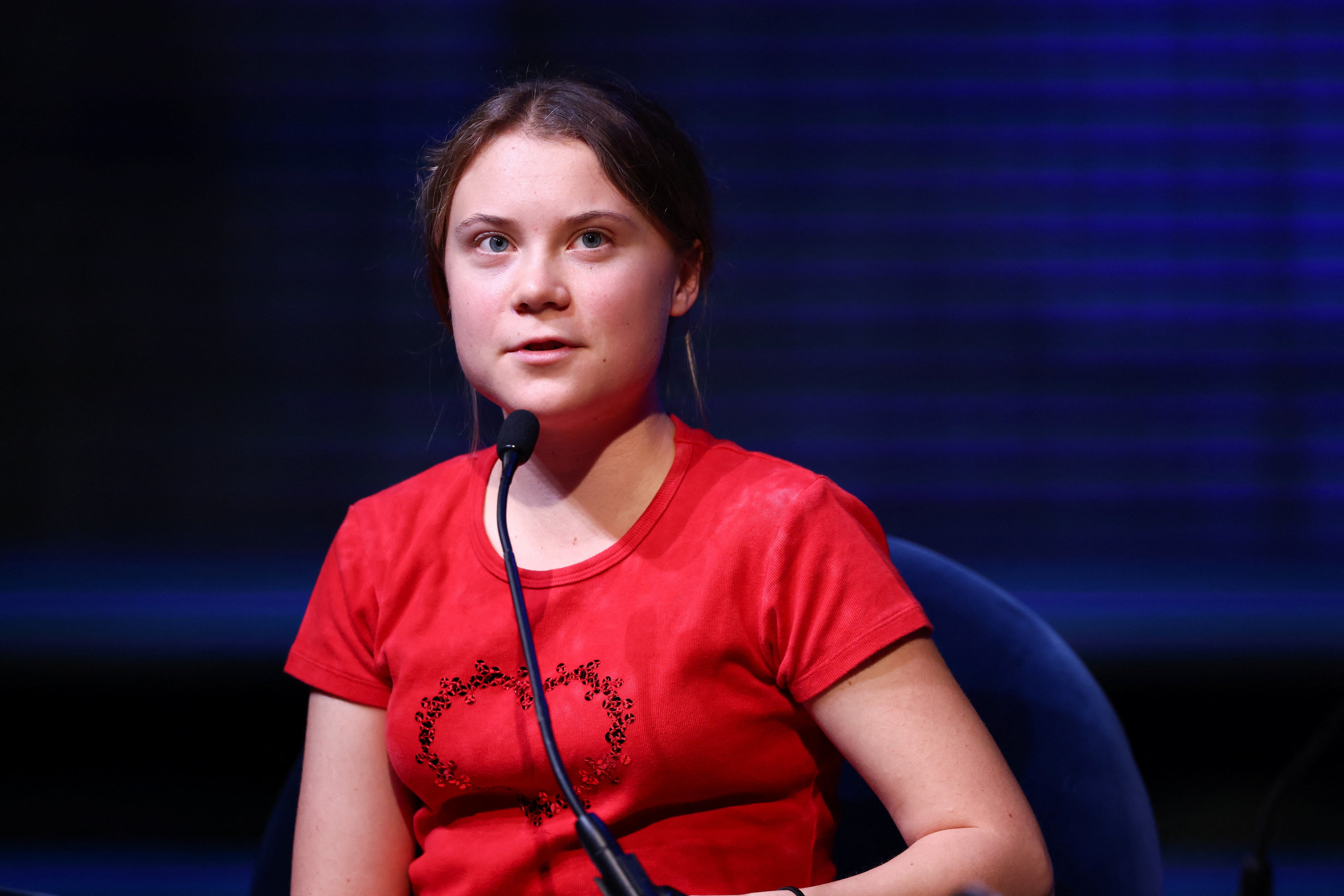 Swedish climate activist Greta Thunberg accused Cop27 of greenwashing