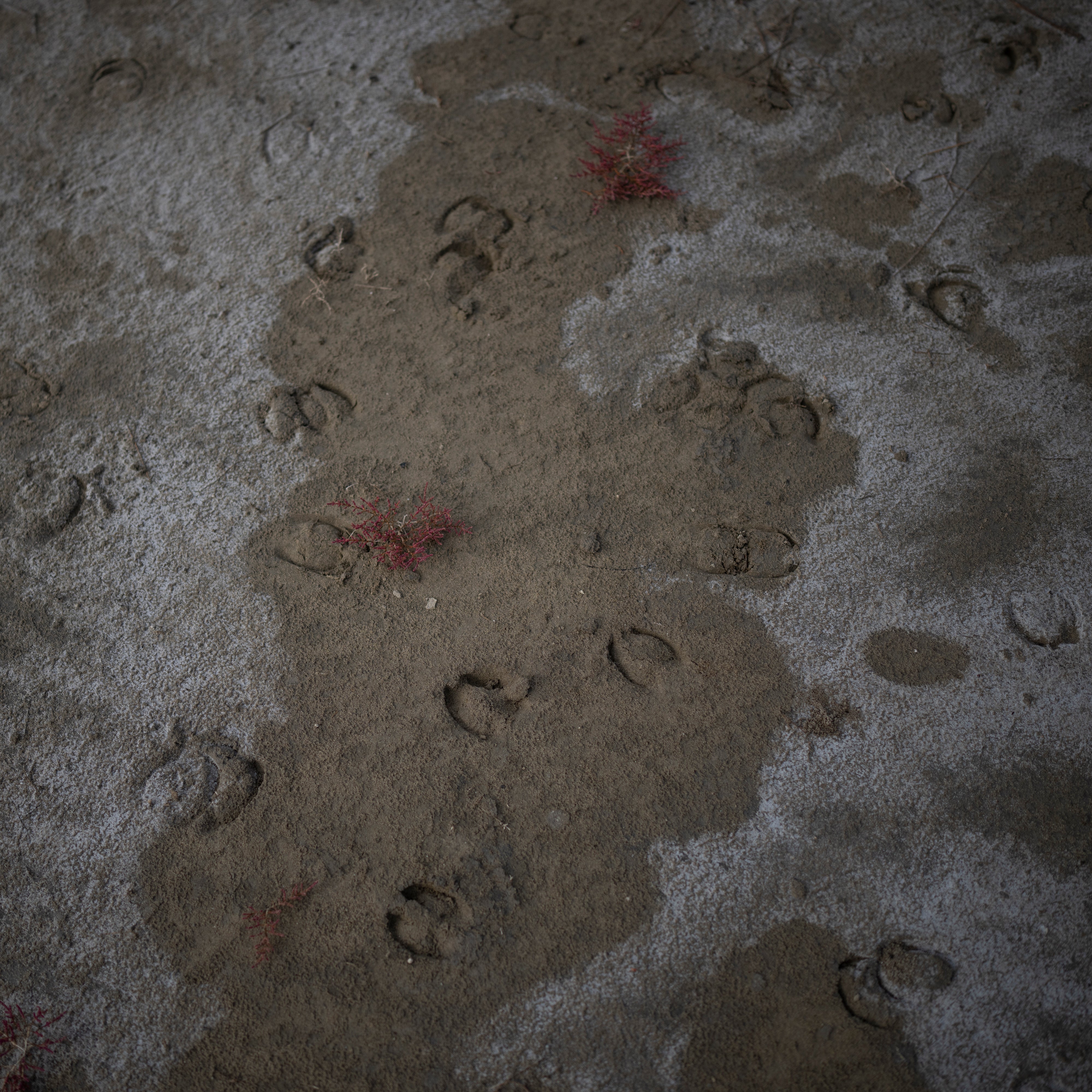 APTOPIX COP27 Climate France Rising Seas