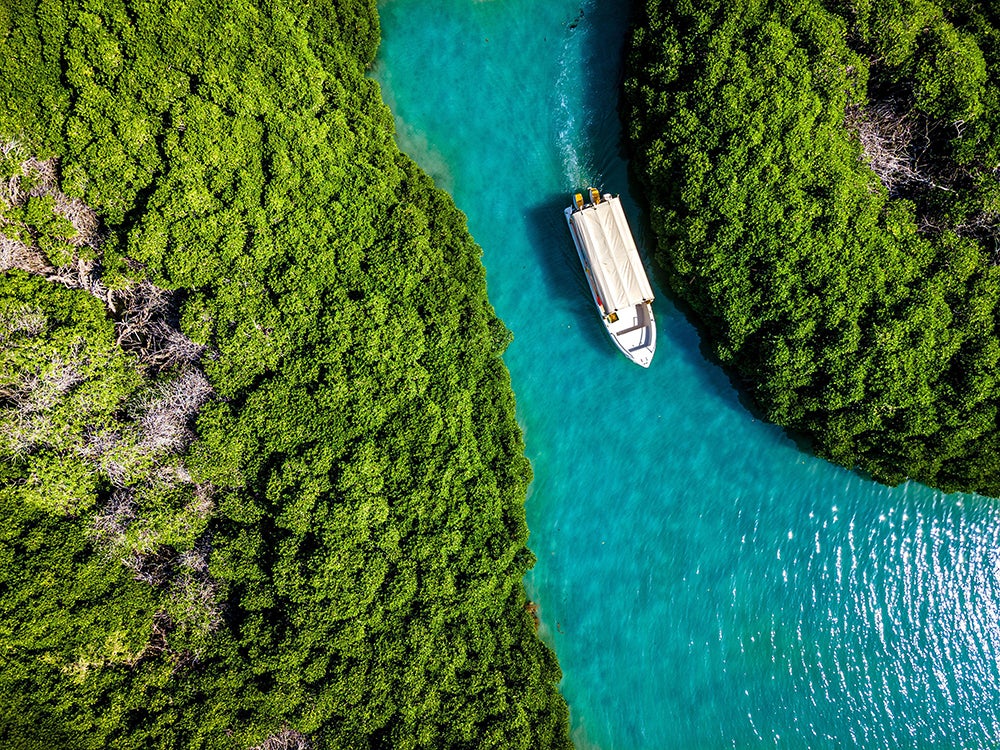 Mangroves on Farasan Island, a far cry from the arid desert often associated with Saudi