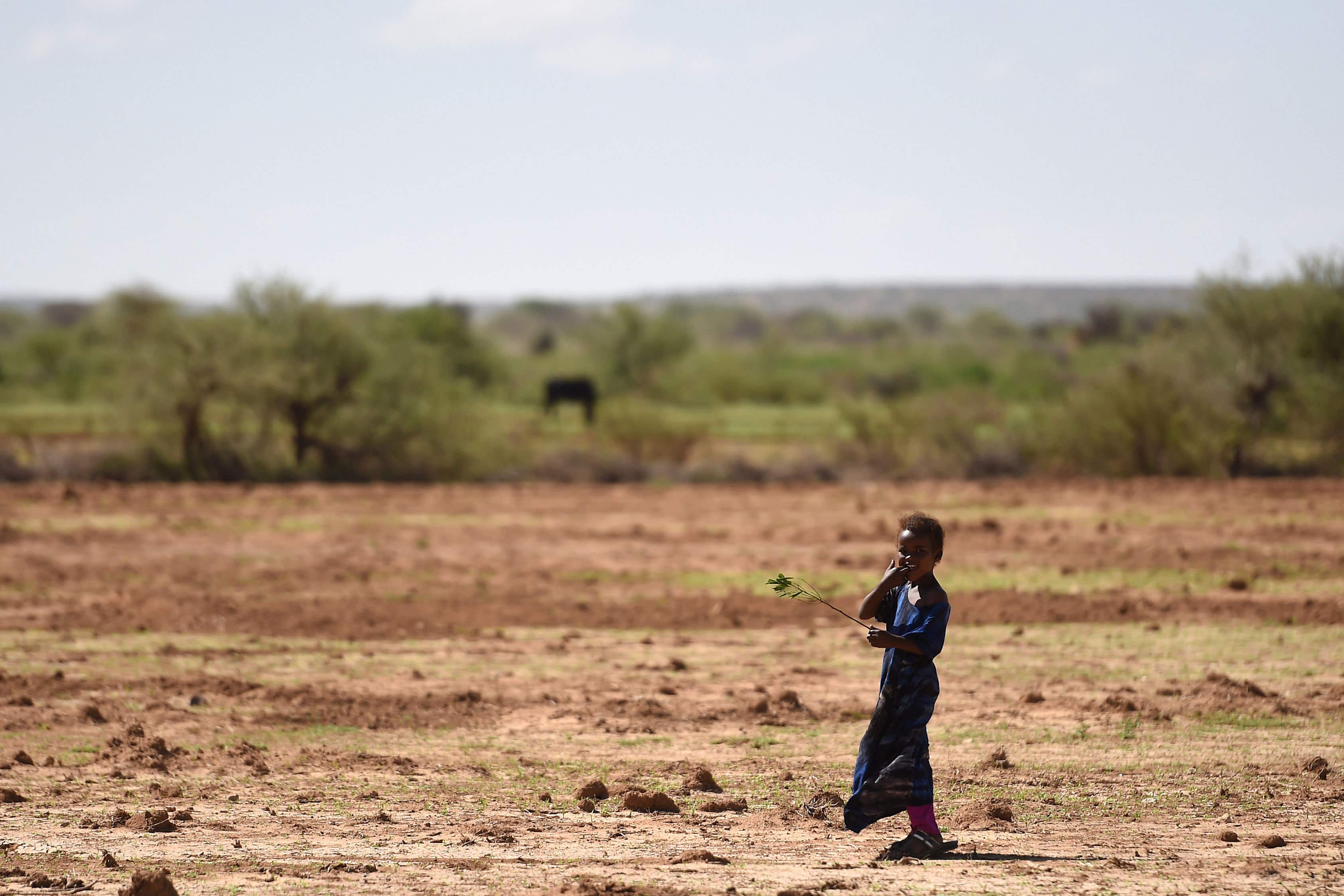 Famine and drought in Somaliland (Joe Giddens/PA)