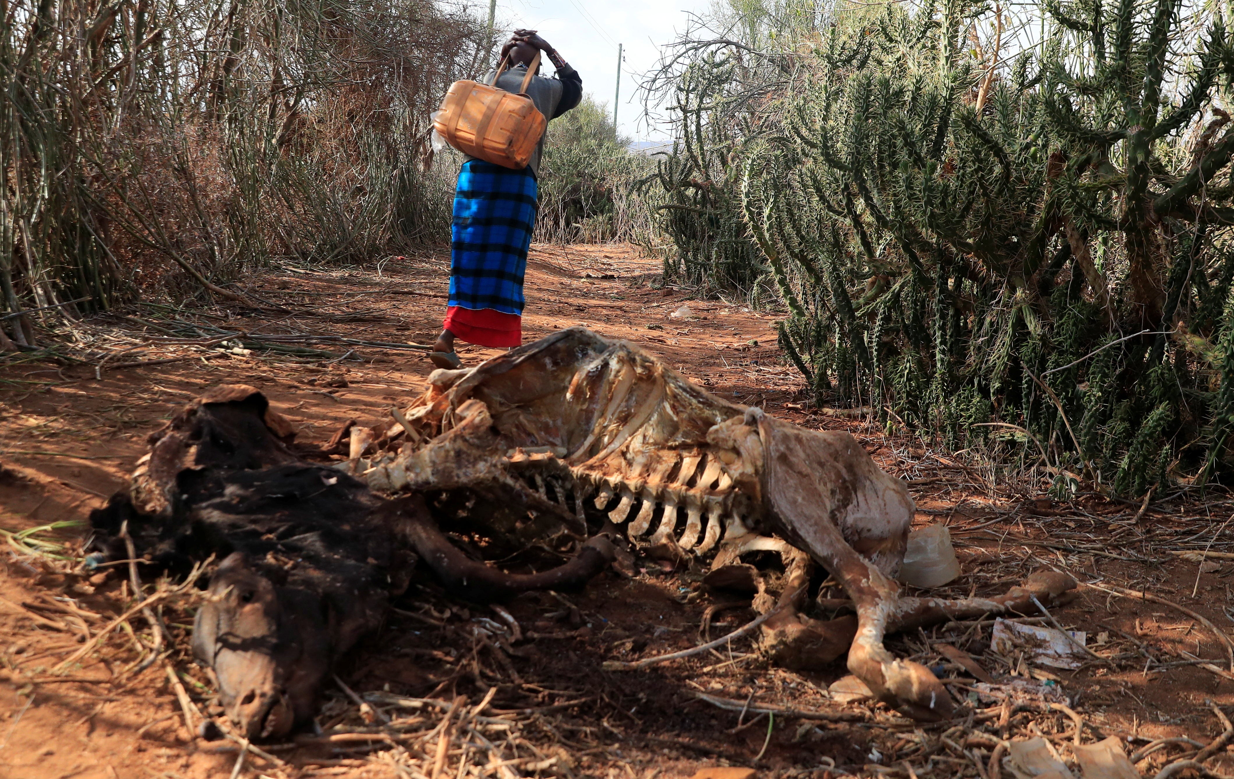 With rising water scarcity, women become more vulnerable to gender-based violence