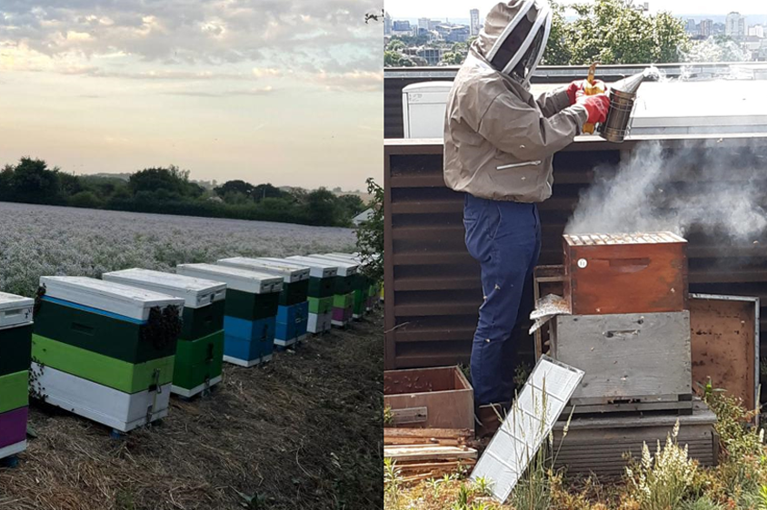 Khalid started beekeeping in 2010 (Collect/PA Real Life)