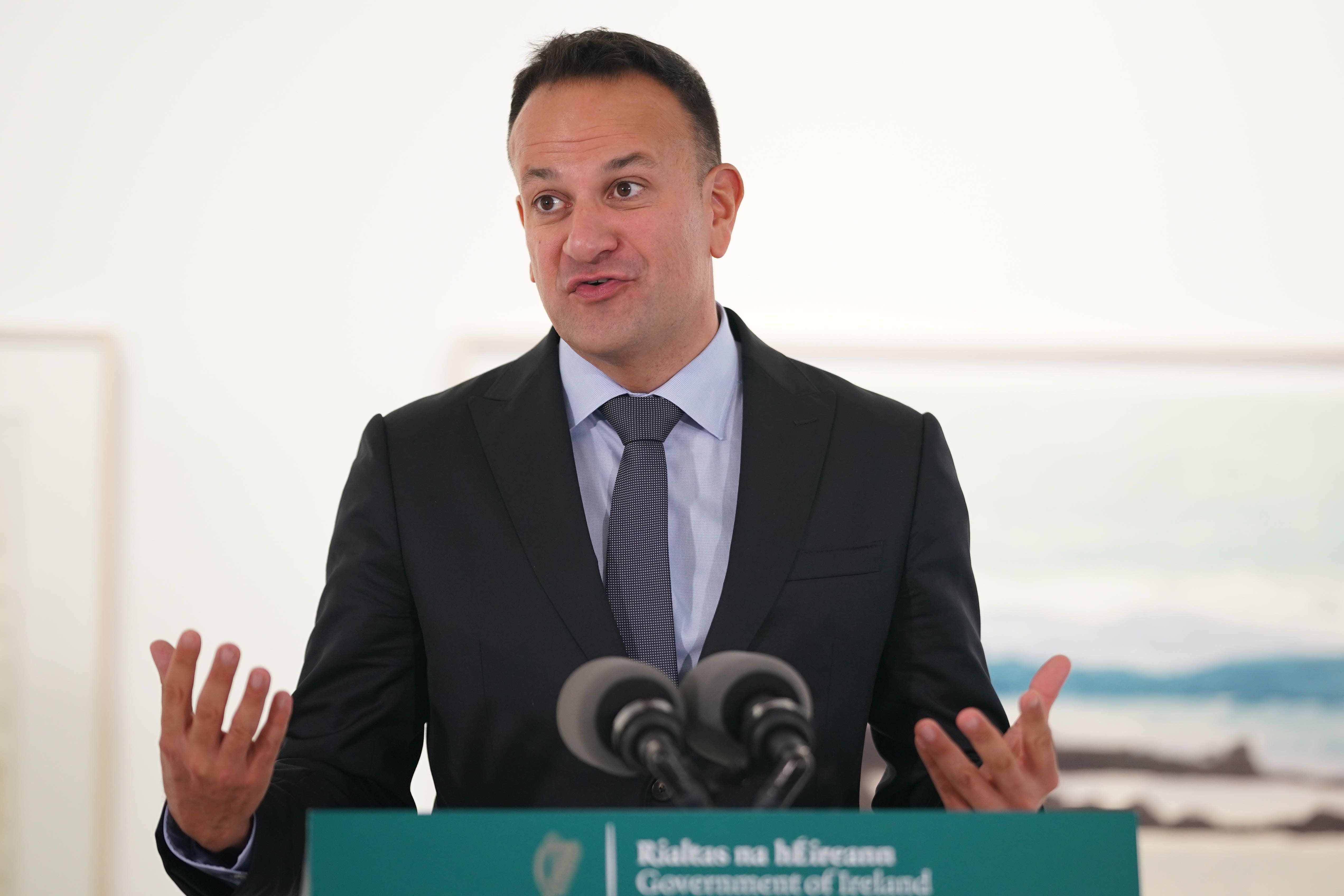 Tanaiste and Minister for Enterprise Trade and Employment Leo Varadkar (Niall Carson/PA)