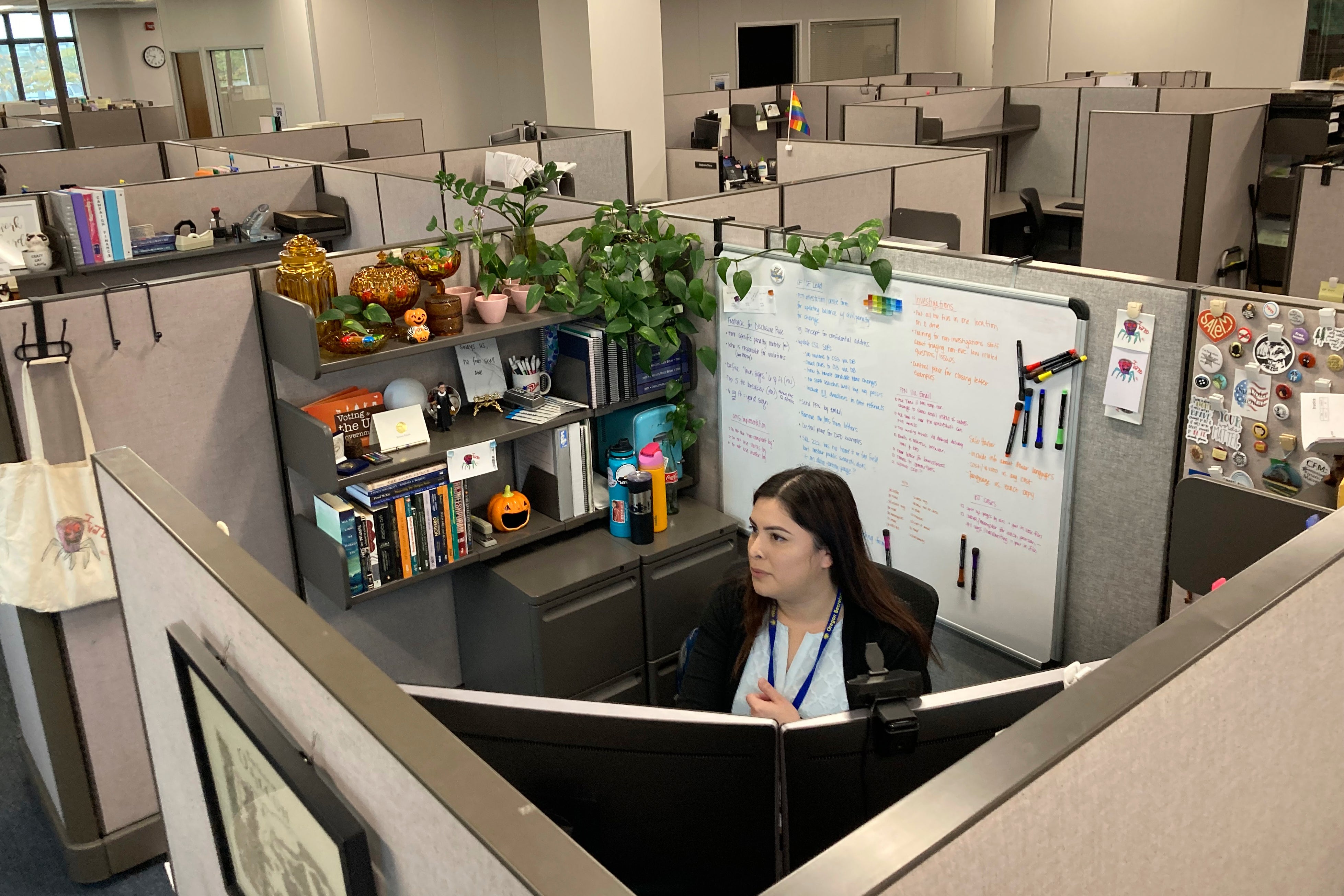 Election 2022 Investigators