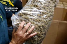 Spain’s largest ever cannabis seizure as 32 tonnes of drug worth £57m found in raid