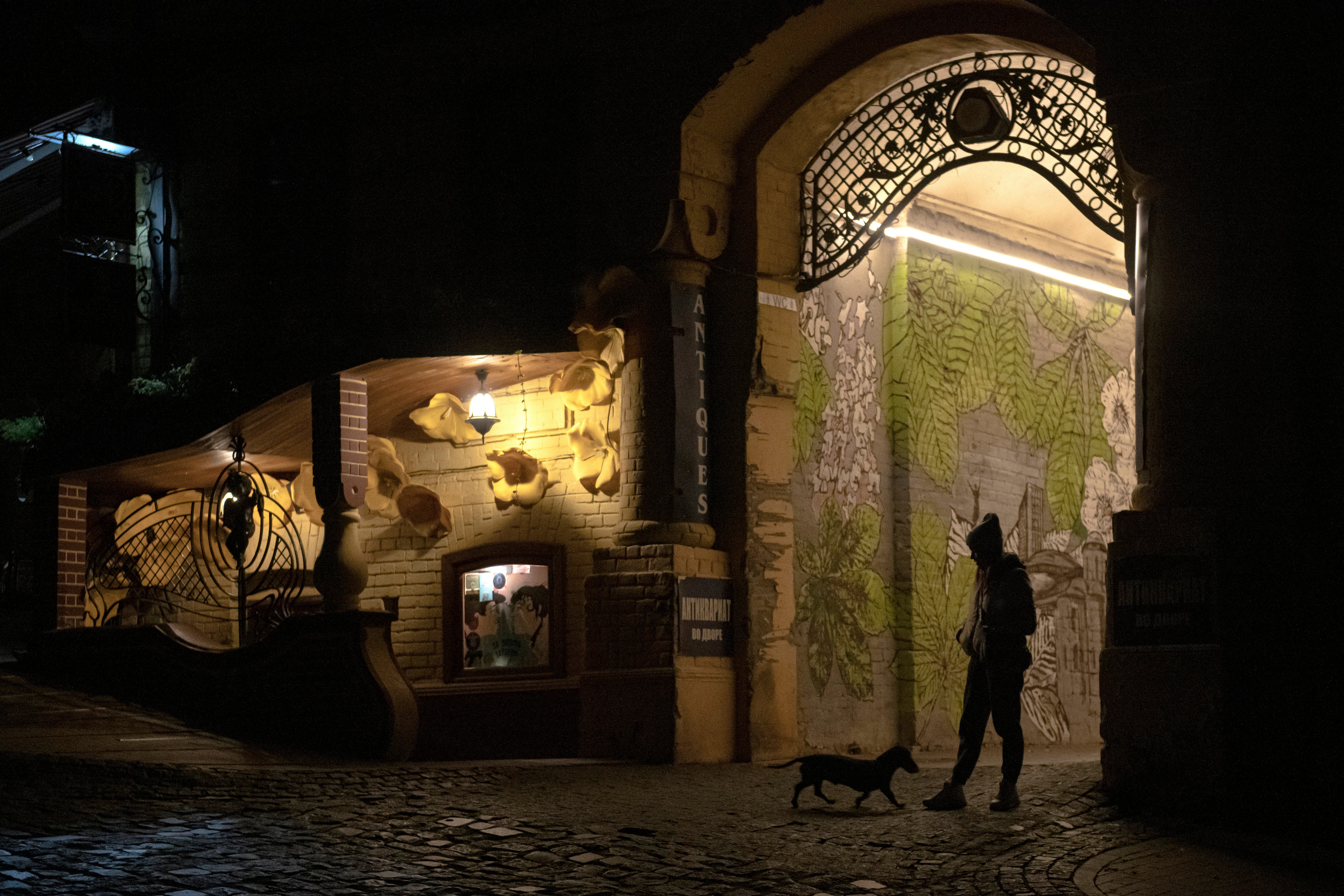 A woman walks her dog during a blackout in Kyiv on Friday