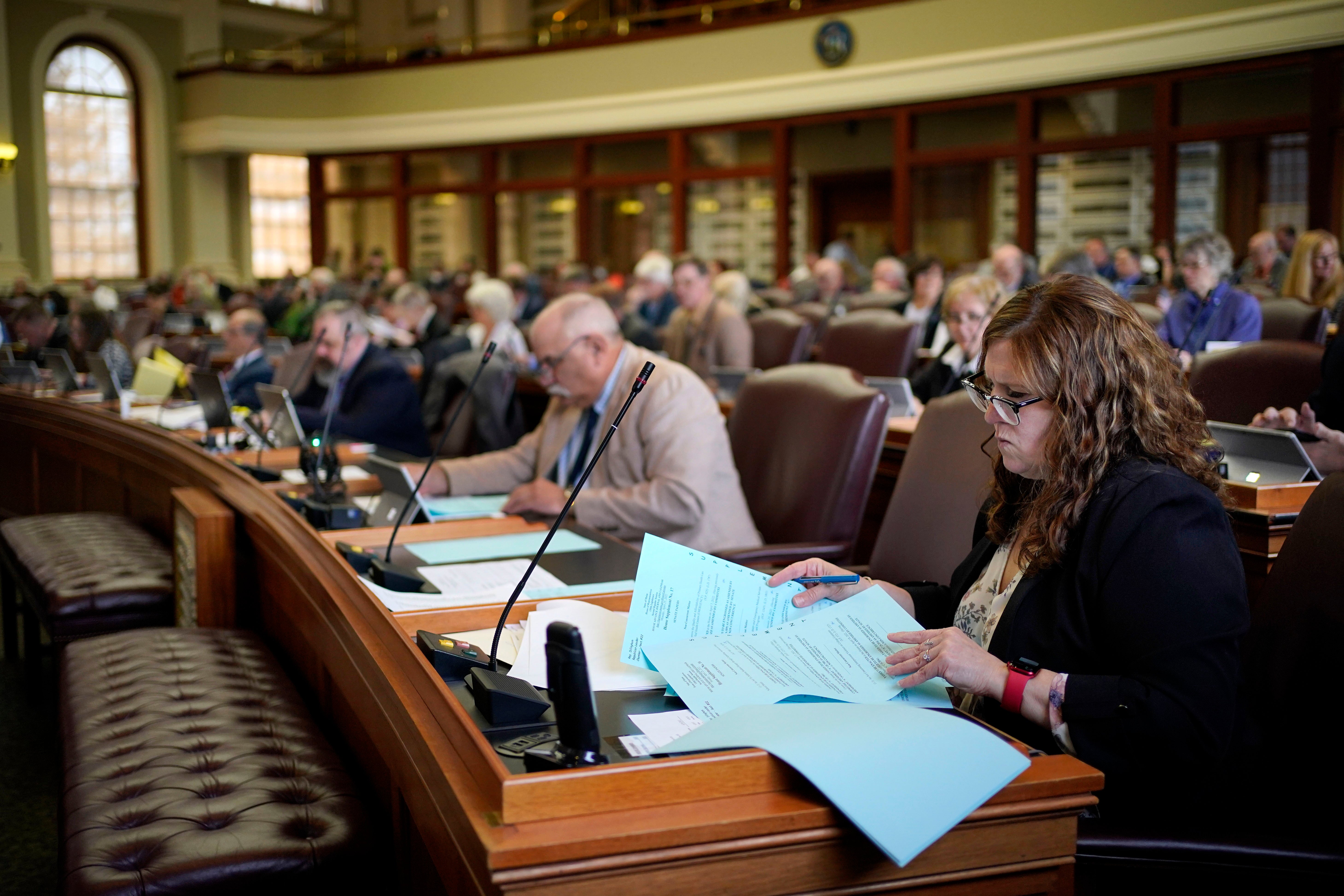 Election 2022-State Legislatures