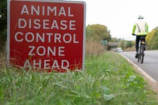 Measure to keep all poultry inside to tackle bird flu comes into force