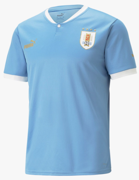 Uruguay home