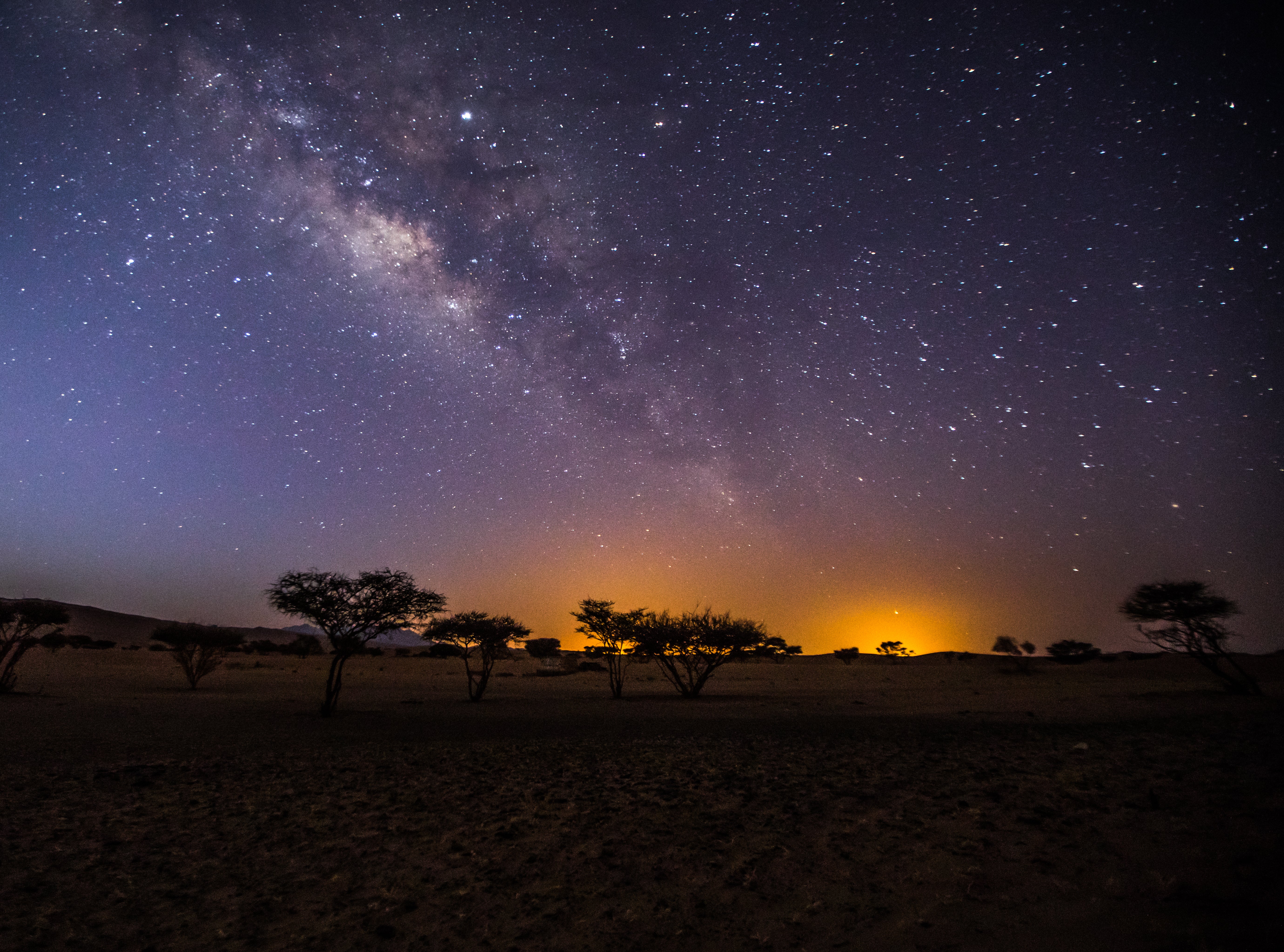 Light pollution will be minimised in order to mainain stunning night skies with no disturbance to nocturnal animals