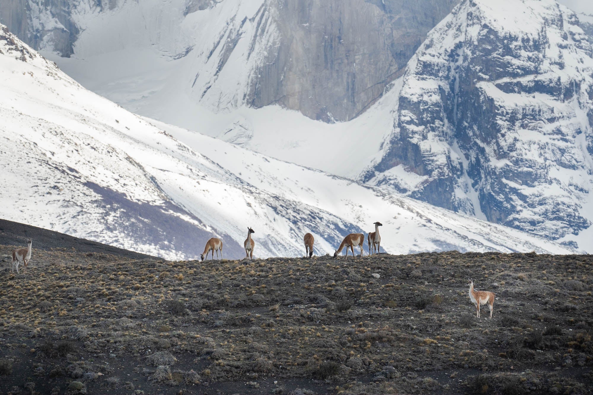 Torres del Paine national park in Patagonia, Chile