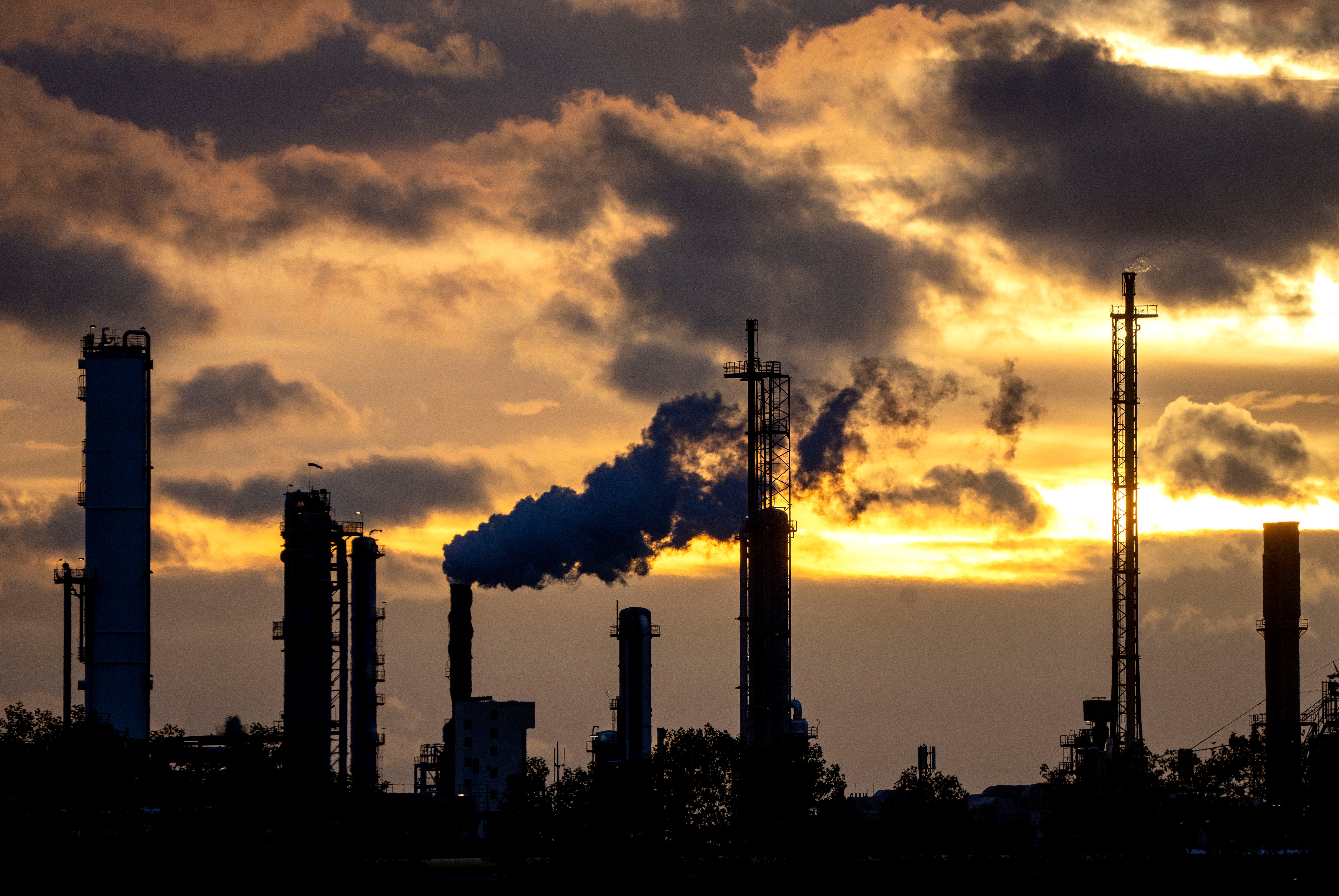 Germany COP27 Climate Summit