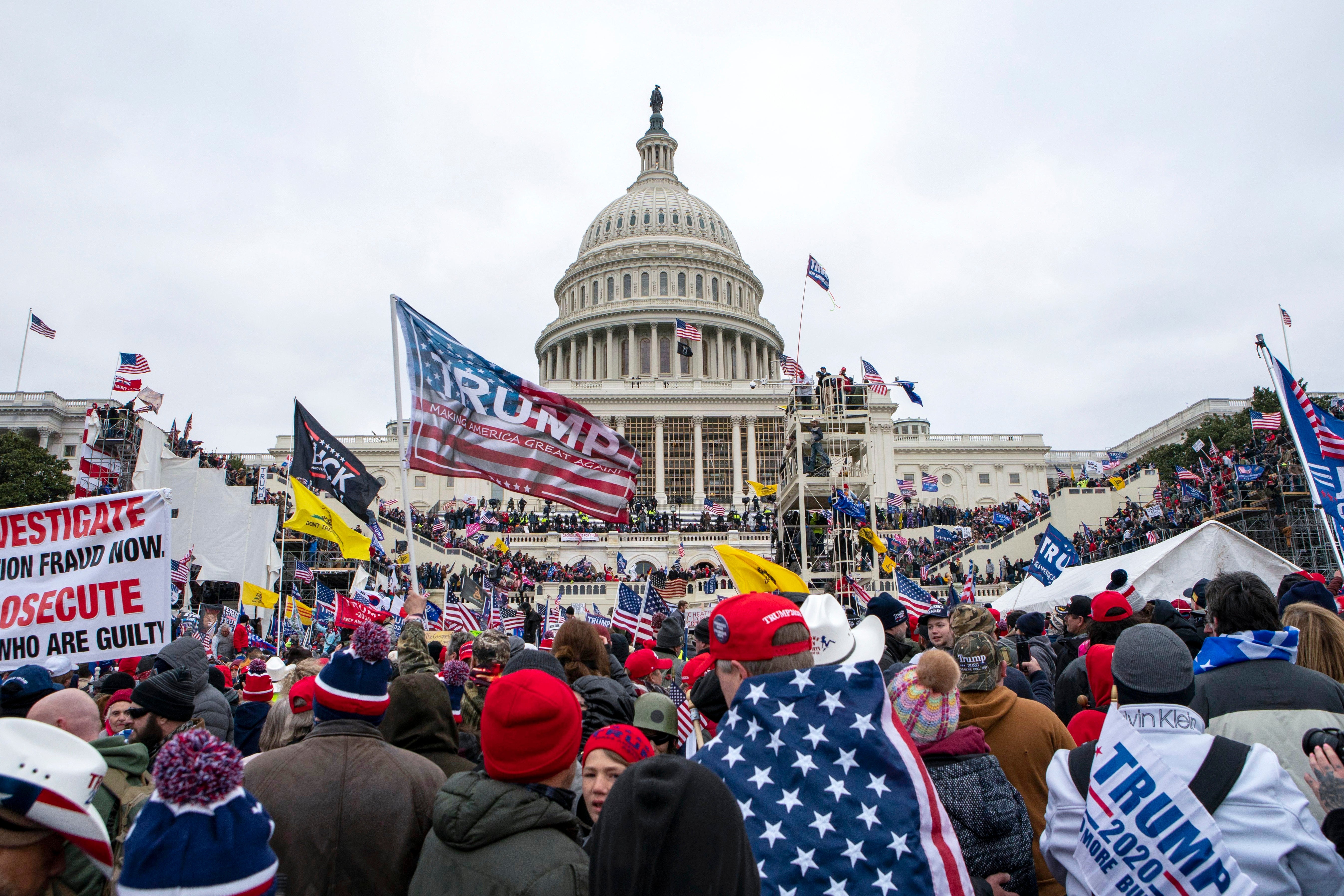 Capitol Riot Infowars Staffer