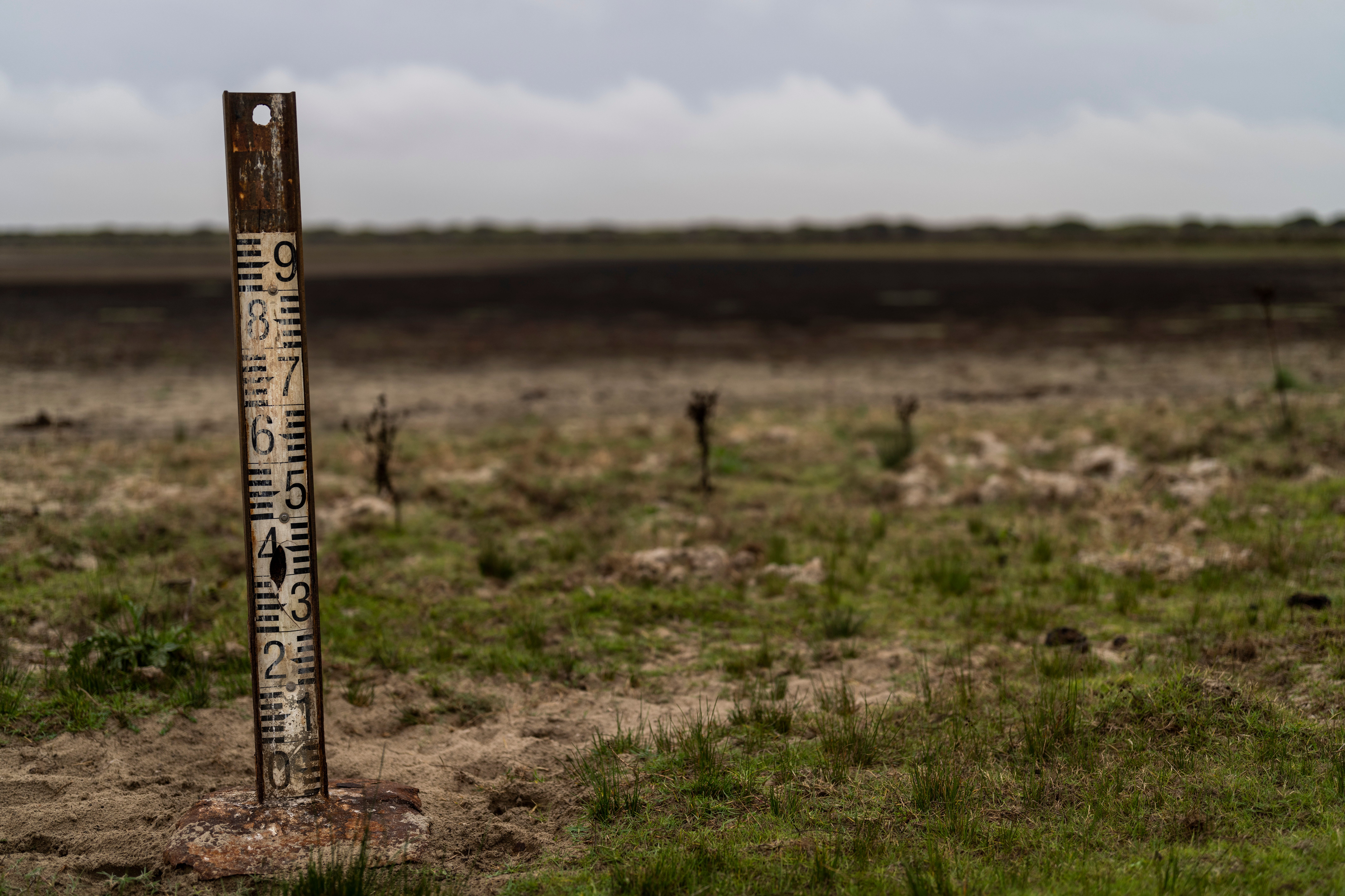 COP27 Spain Climate Drying Wetlands