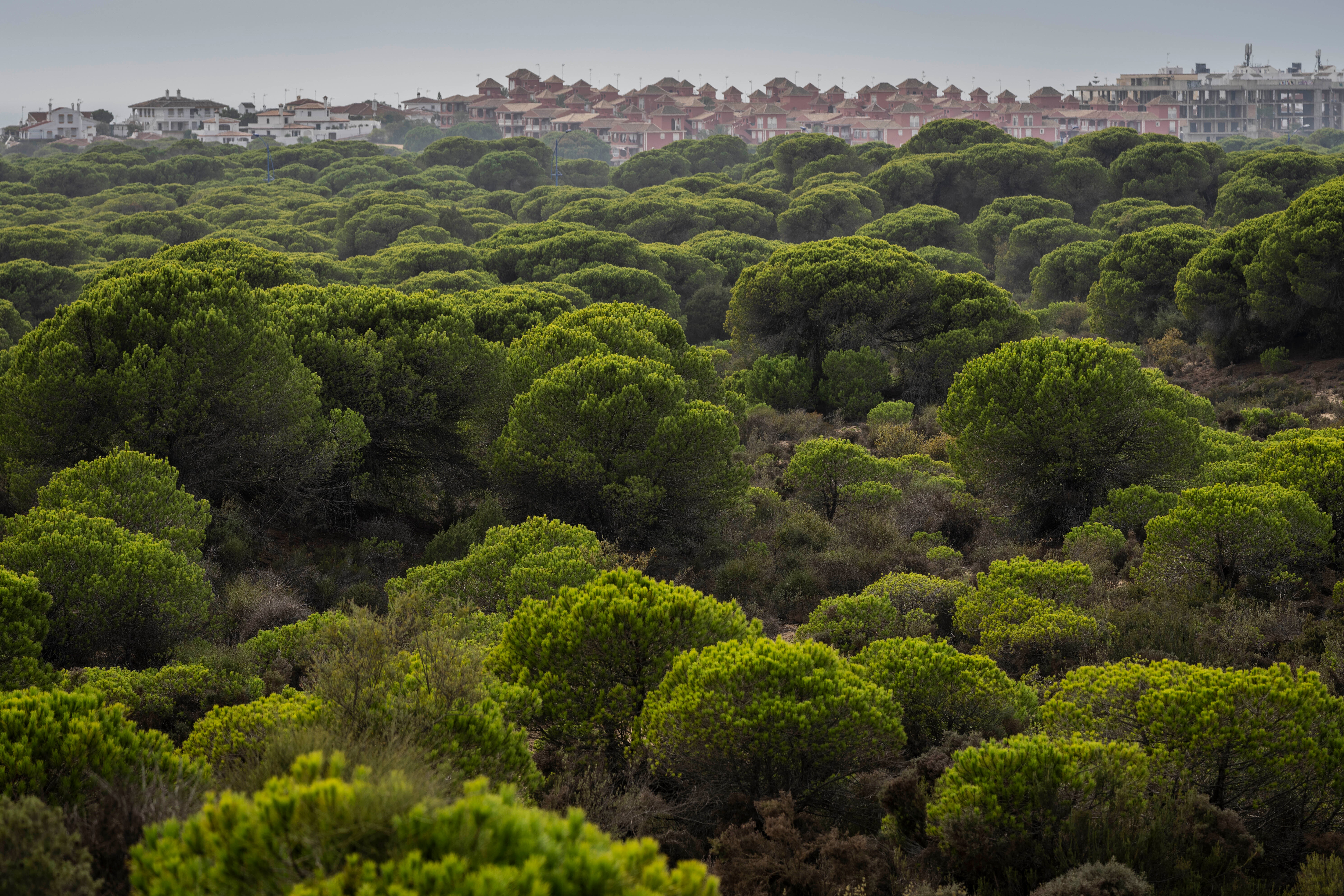 COP27 Spain Climate Drying Wetlands