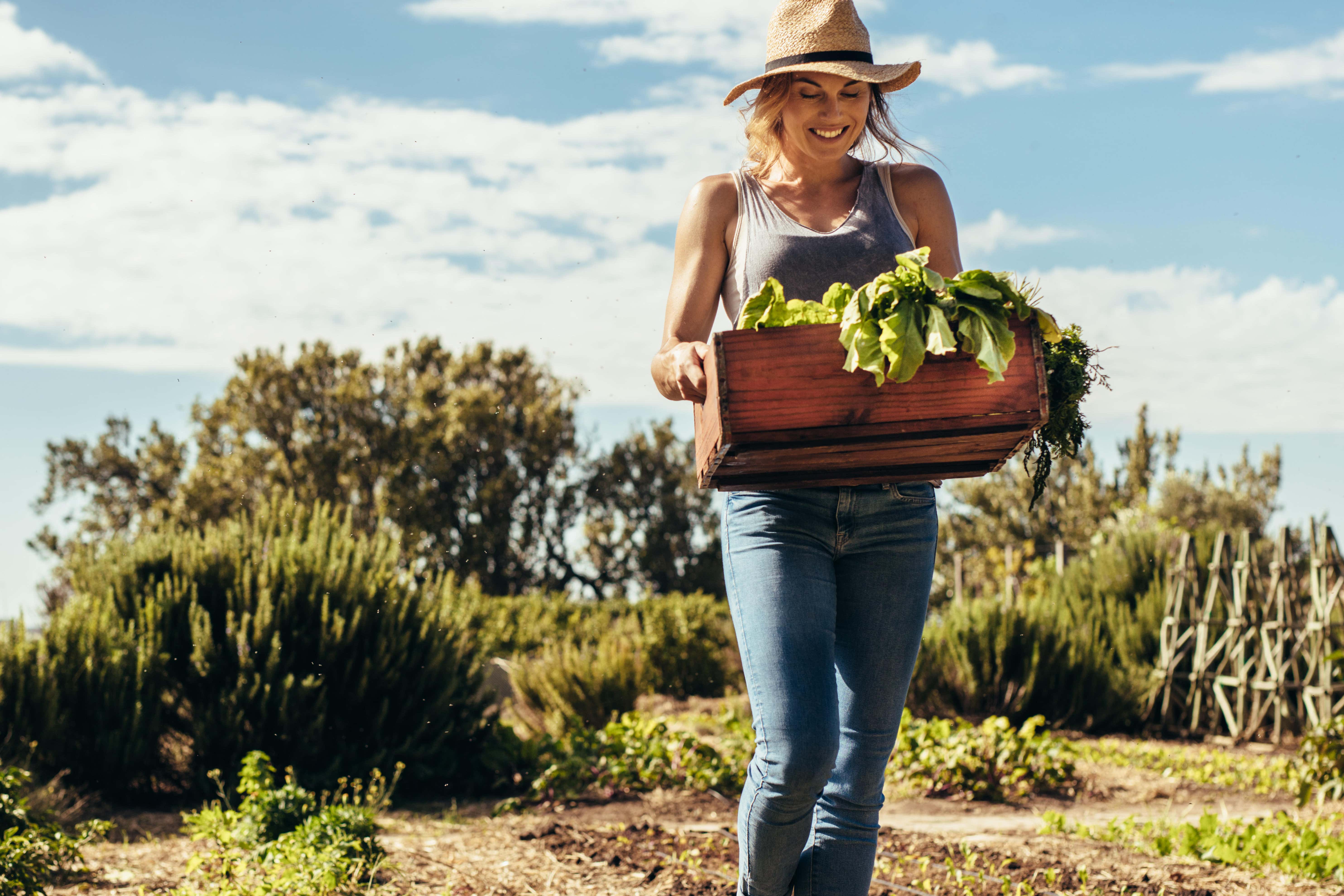 From eating more veg to shopping secondhand, we can all do a little more for the planet (Alamy/PA)