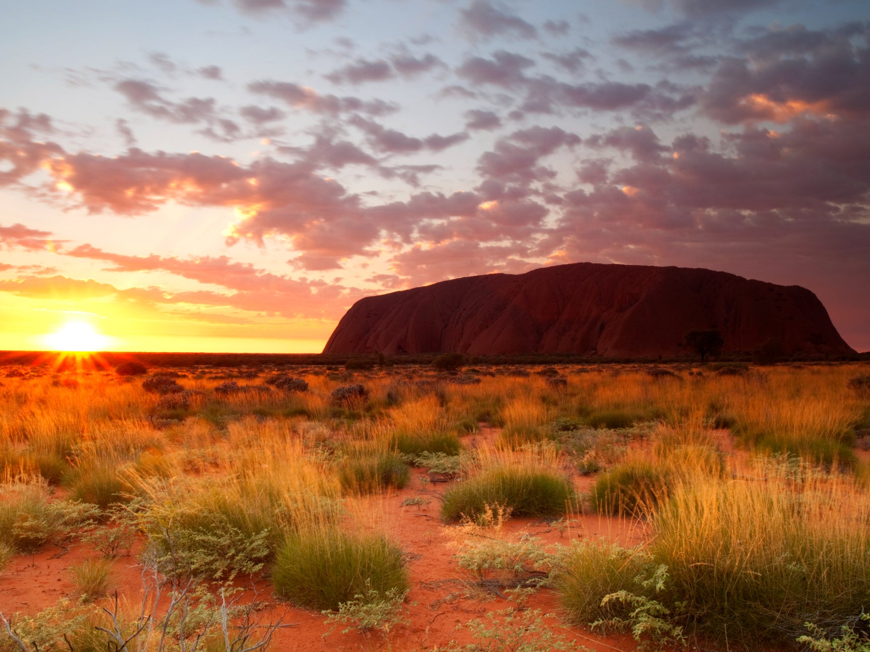 We follow Voss and his motley party out of the complacent world of colonial New South Wales into the aboriginal desert