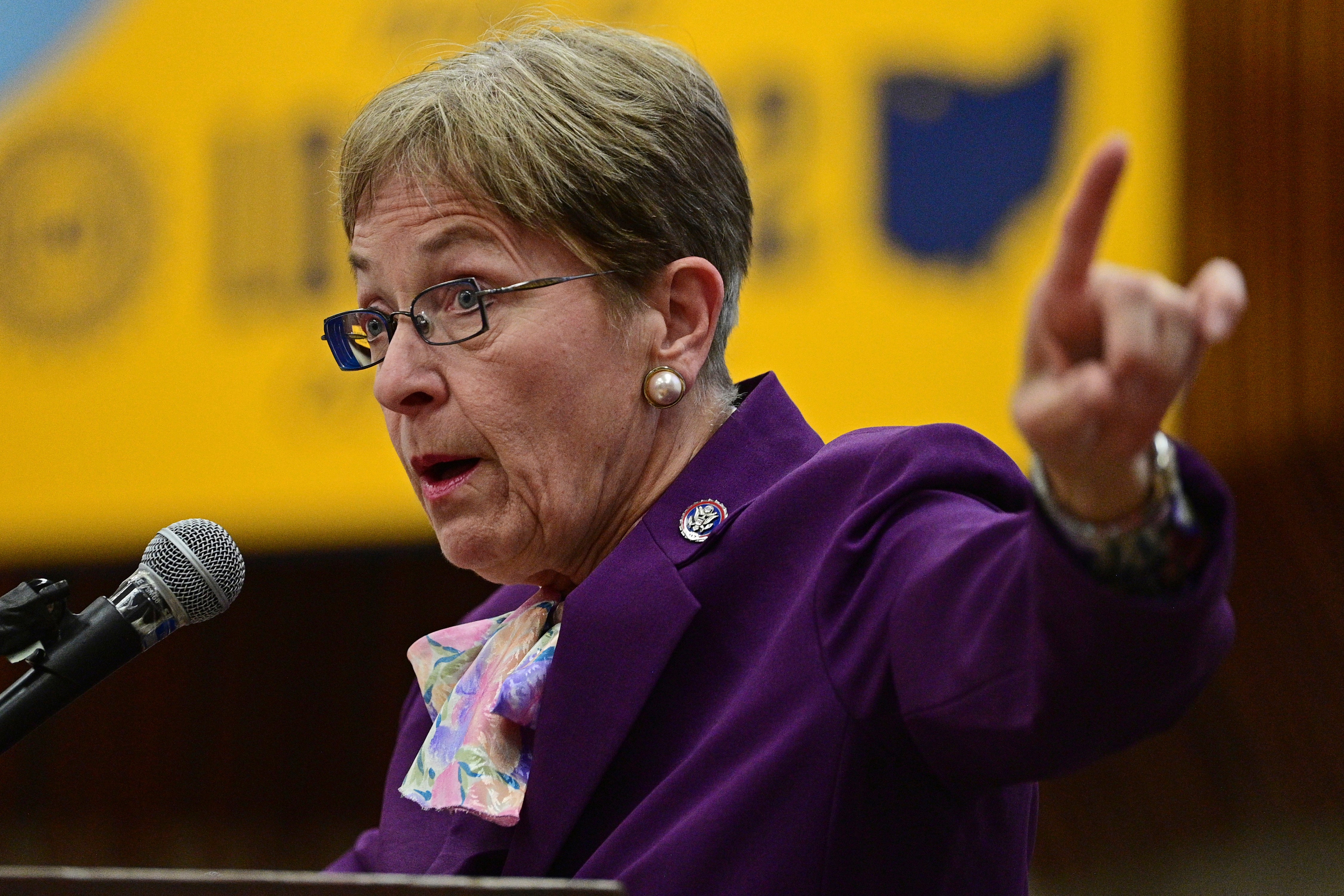 Election 2022 Ohio House