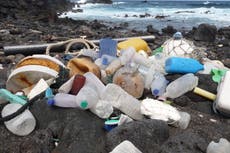 The mystery of what’s eating our plastic from the ocean