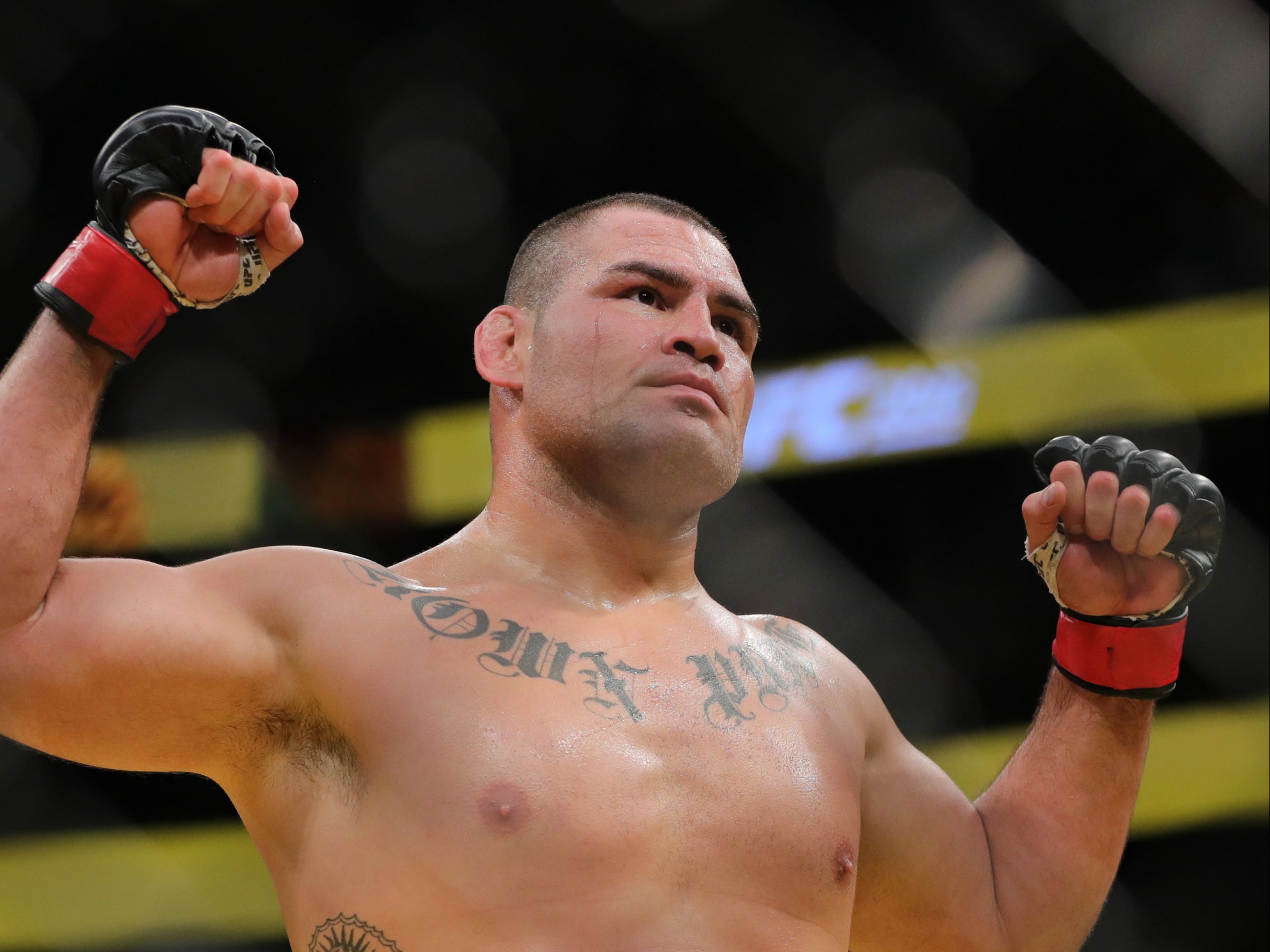 Velasquez is a former two-time UFC heavyweight champion
