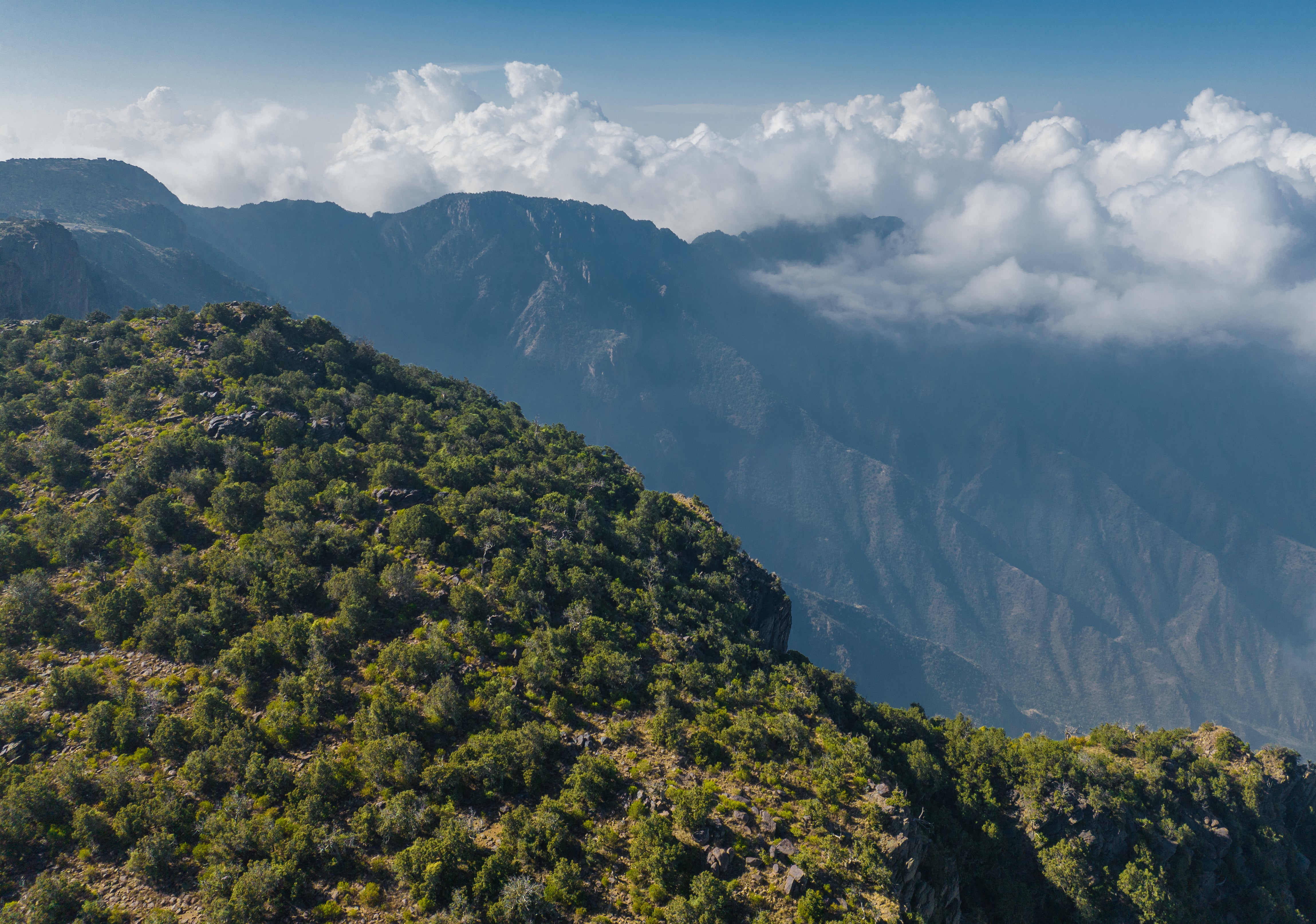 Just 300km away from the most westerly deserts of the Empty Quarter, are the Soudah Mountains, the most verdant and lush landscape in Saudi