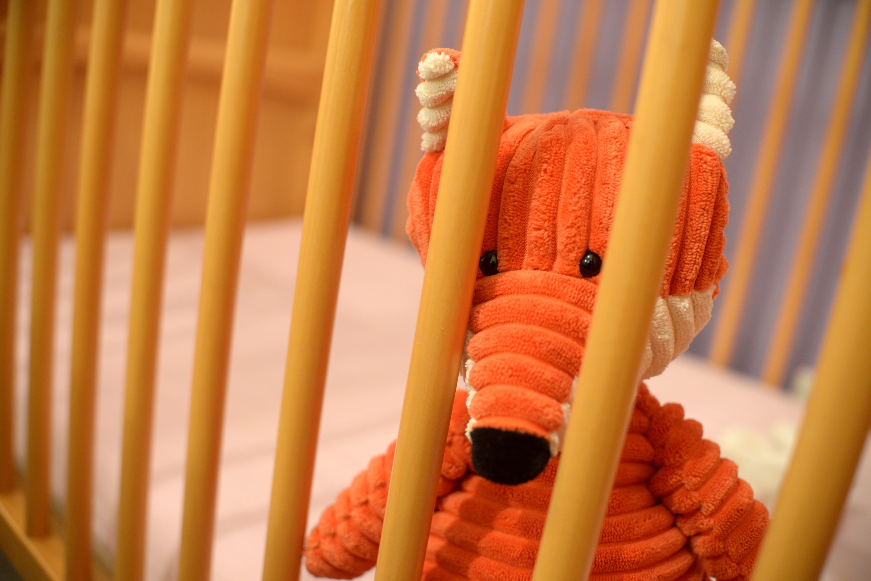 Some 4,035 foster carer households were newly approved during the year to March 2022 (Anthony Devlin/PA)