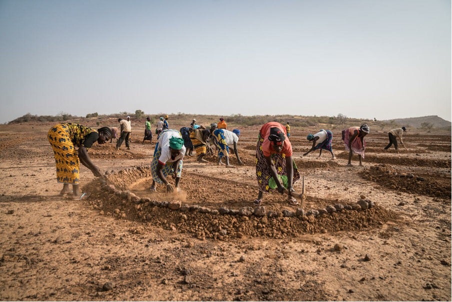 Burkina Faso: people in Sirghin dig half-moon shapes to harness water and rehabilitate the soil