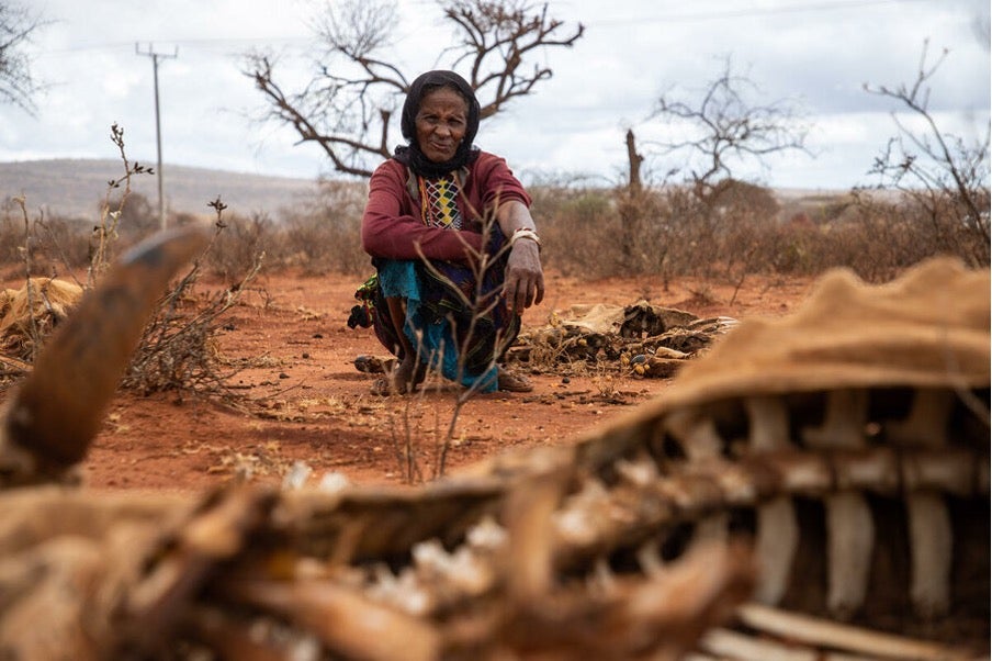 Tume Gerbole, who lives near Oromia in Ethiopia, receives assistance under WFP’s safety net programme, having lost more than 20 of her cattle due to persistent droughts